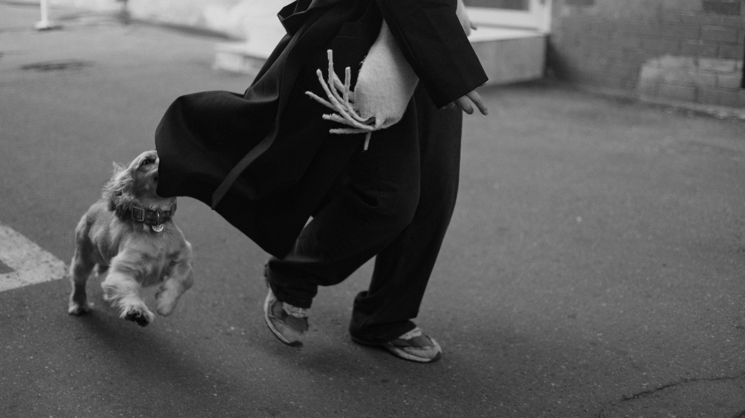 Аня, Андрей и Юта. Фотограф-анималист Богданова Полина