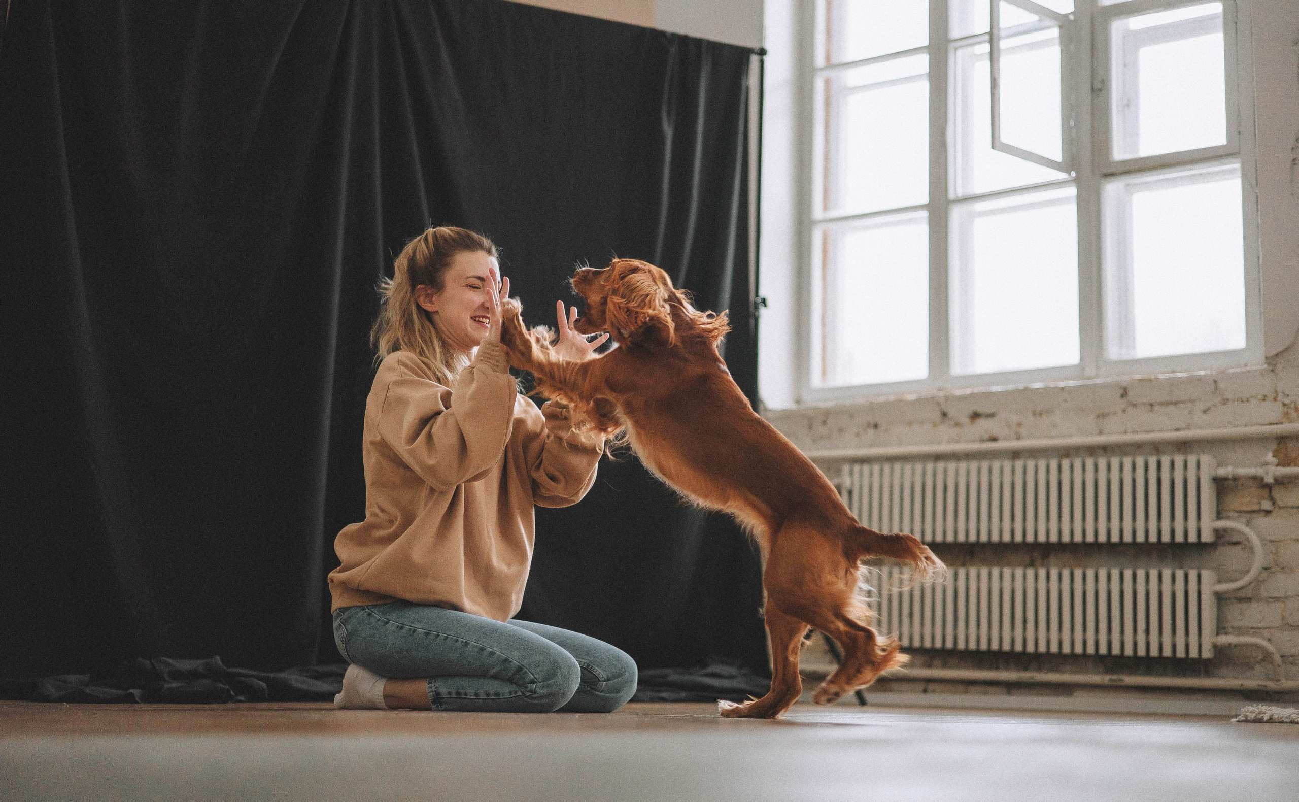 Алина и Дженни. Фотограф-анималист Богданова Полина