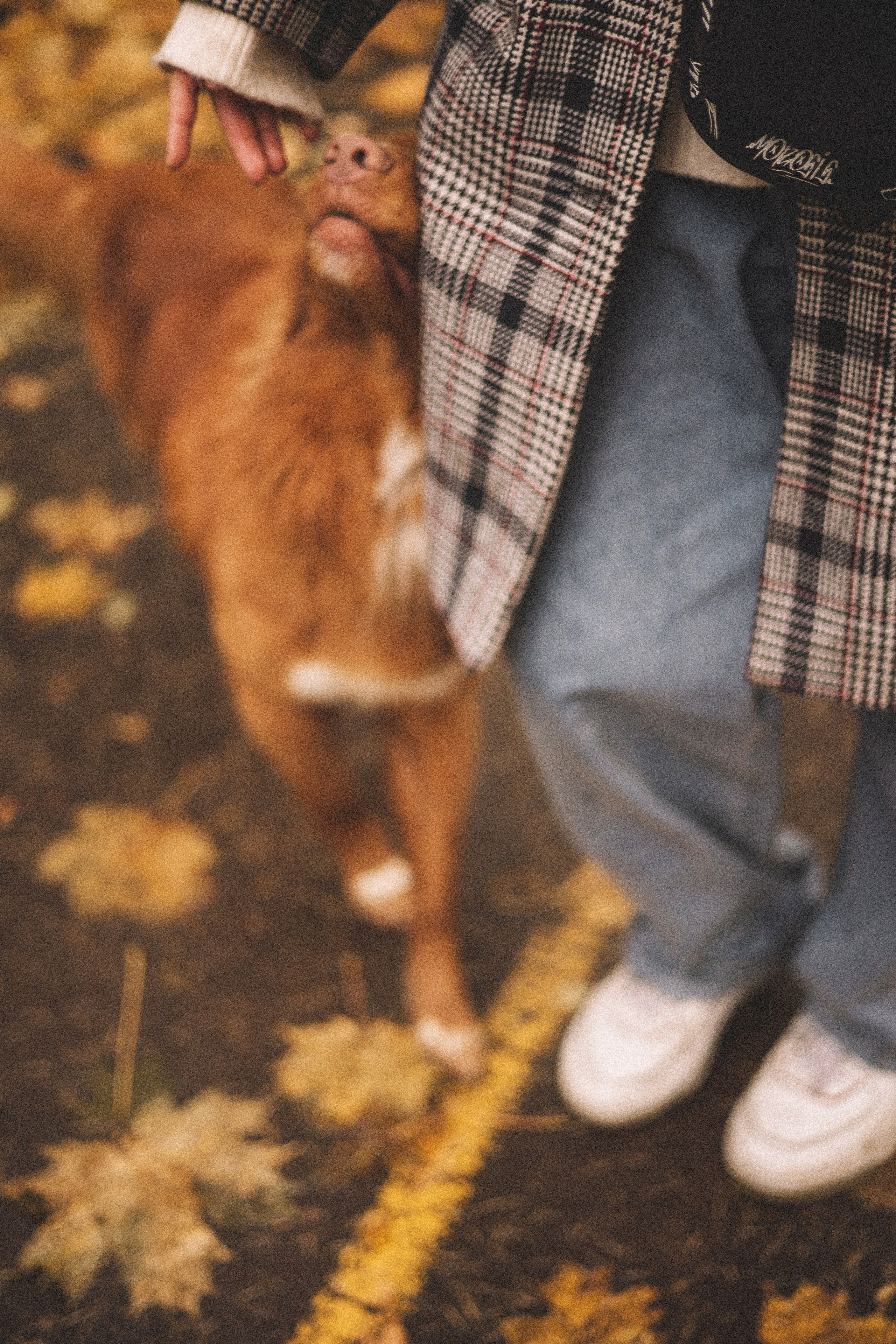 Алина и Бис. Фотограф-анималист Богданова Полина