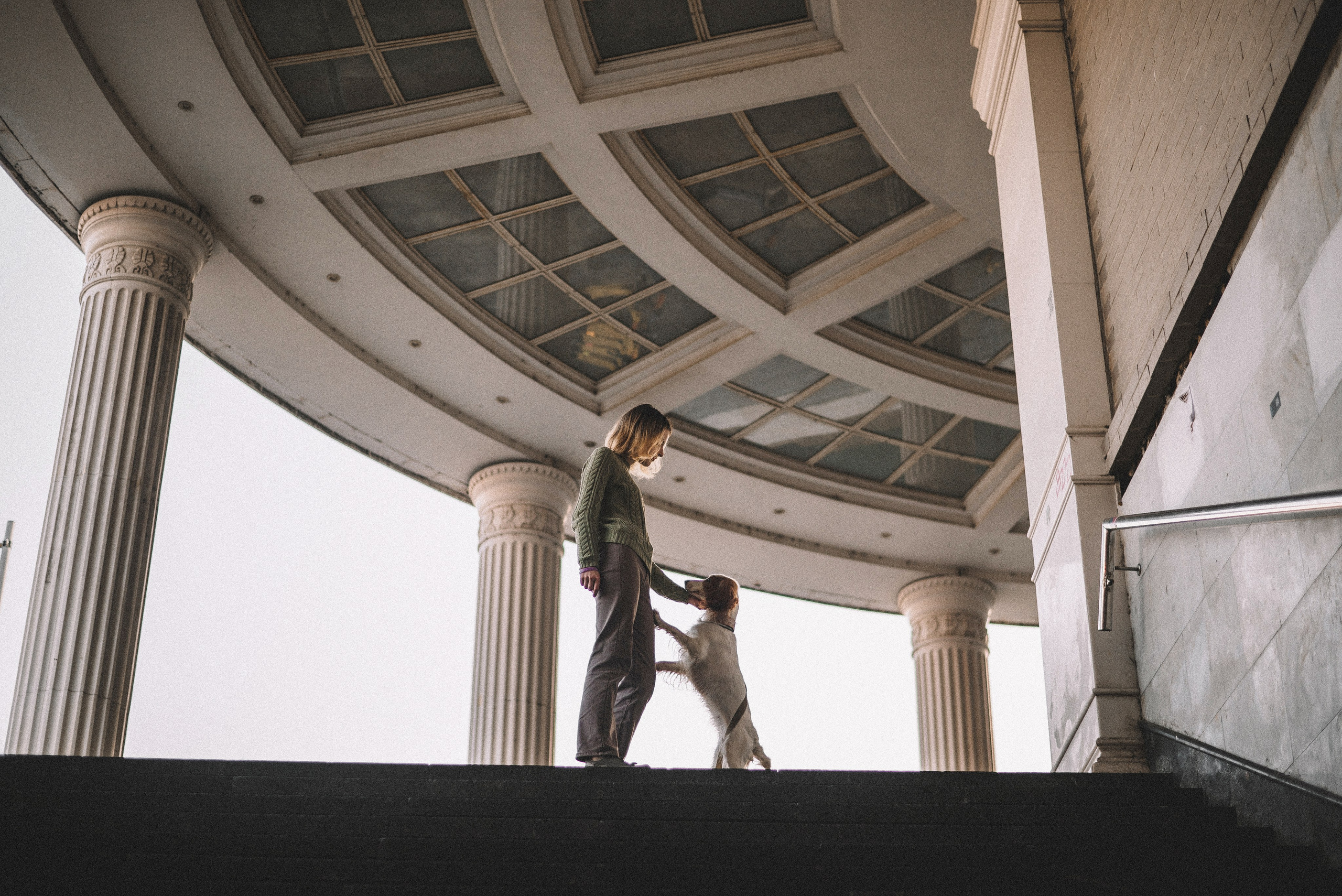 Маша и Вега. Фотограф-анималист Богданова Полина