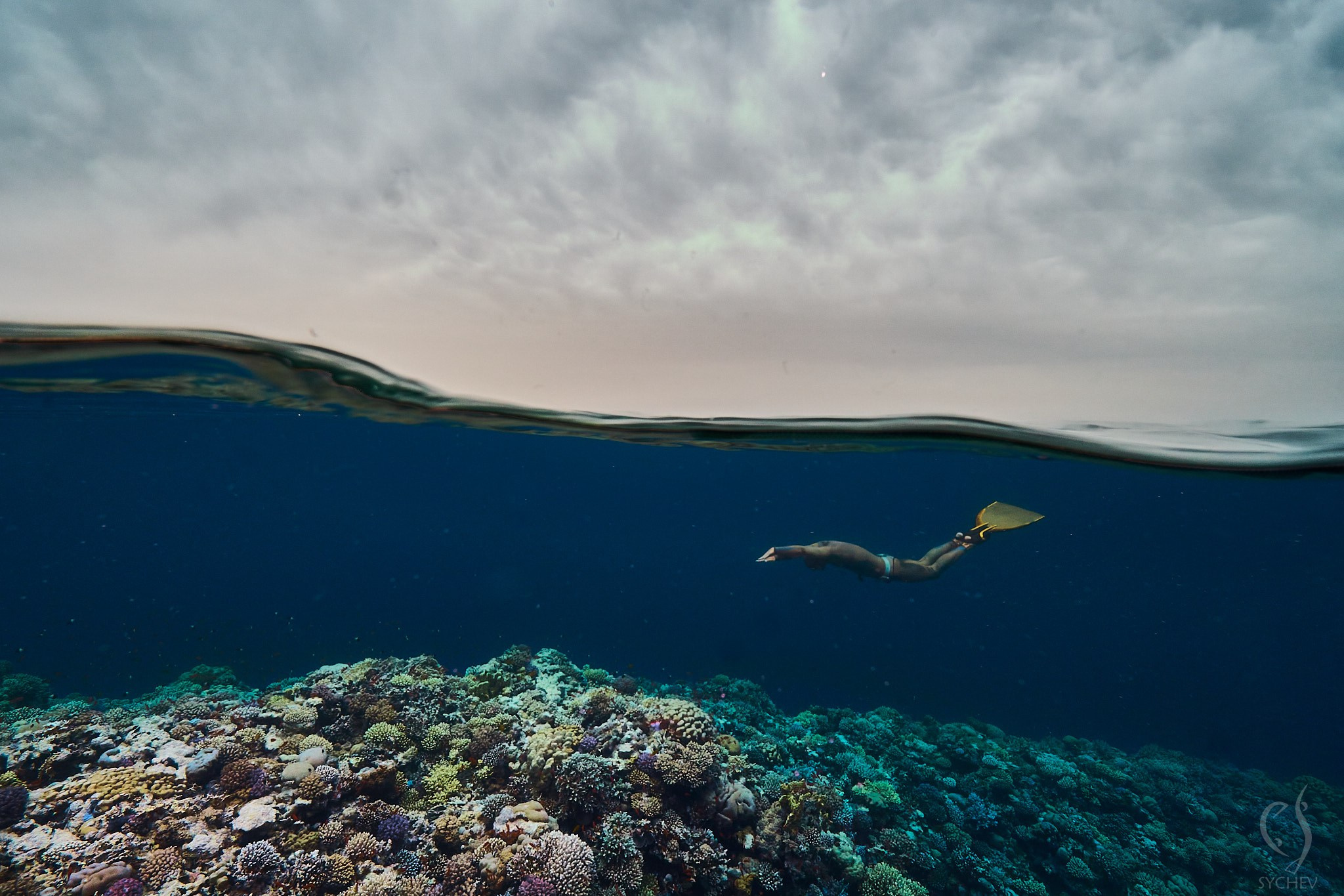 Подводная съемка в море. Главная