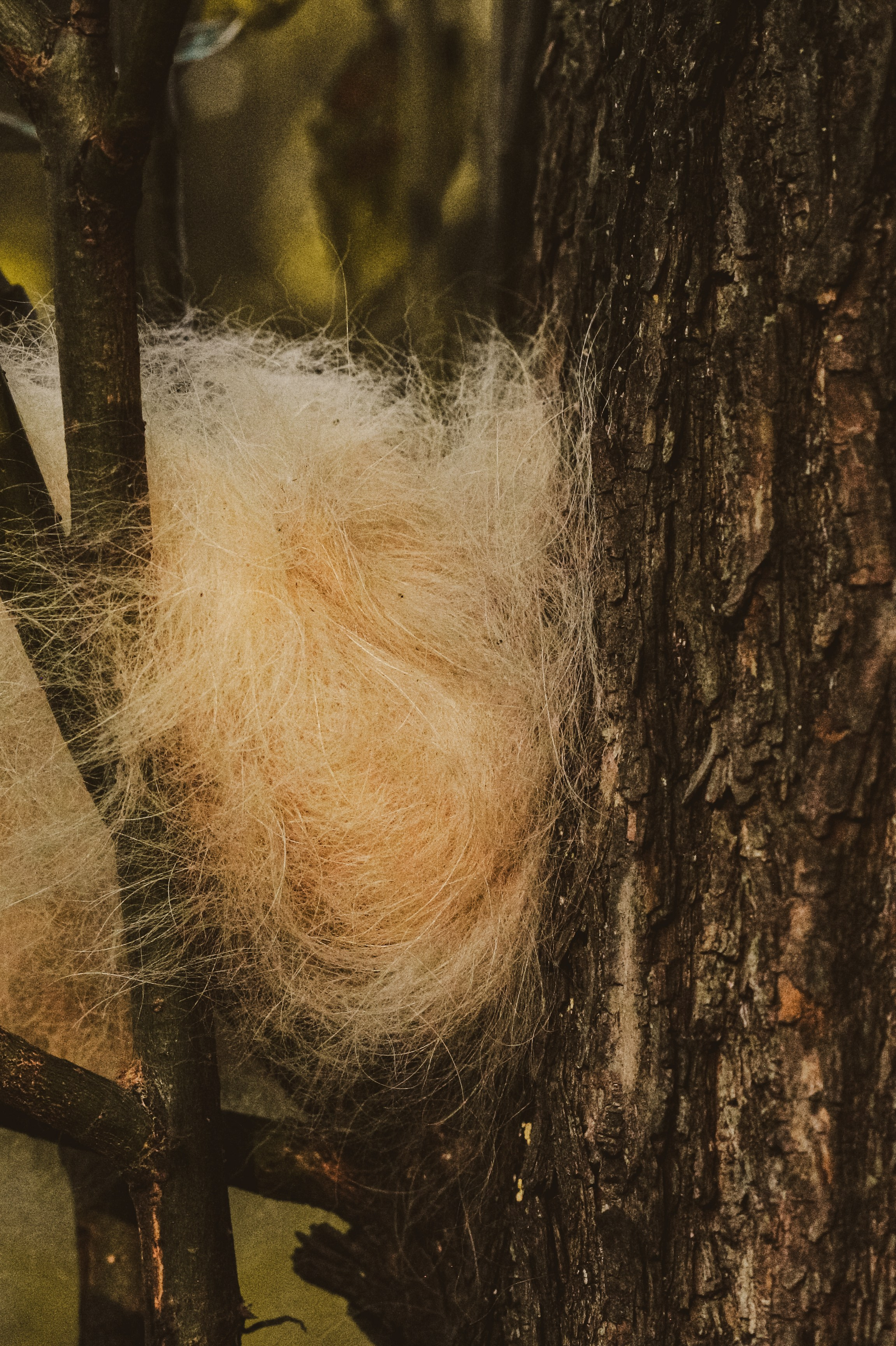 Природа. Фотограф Москва, портрет, стрит, репортаж. Художественная фотосессия