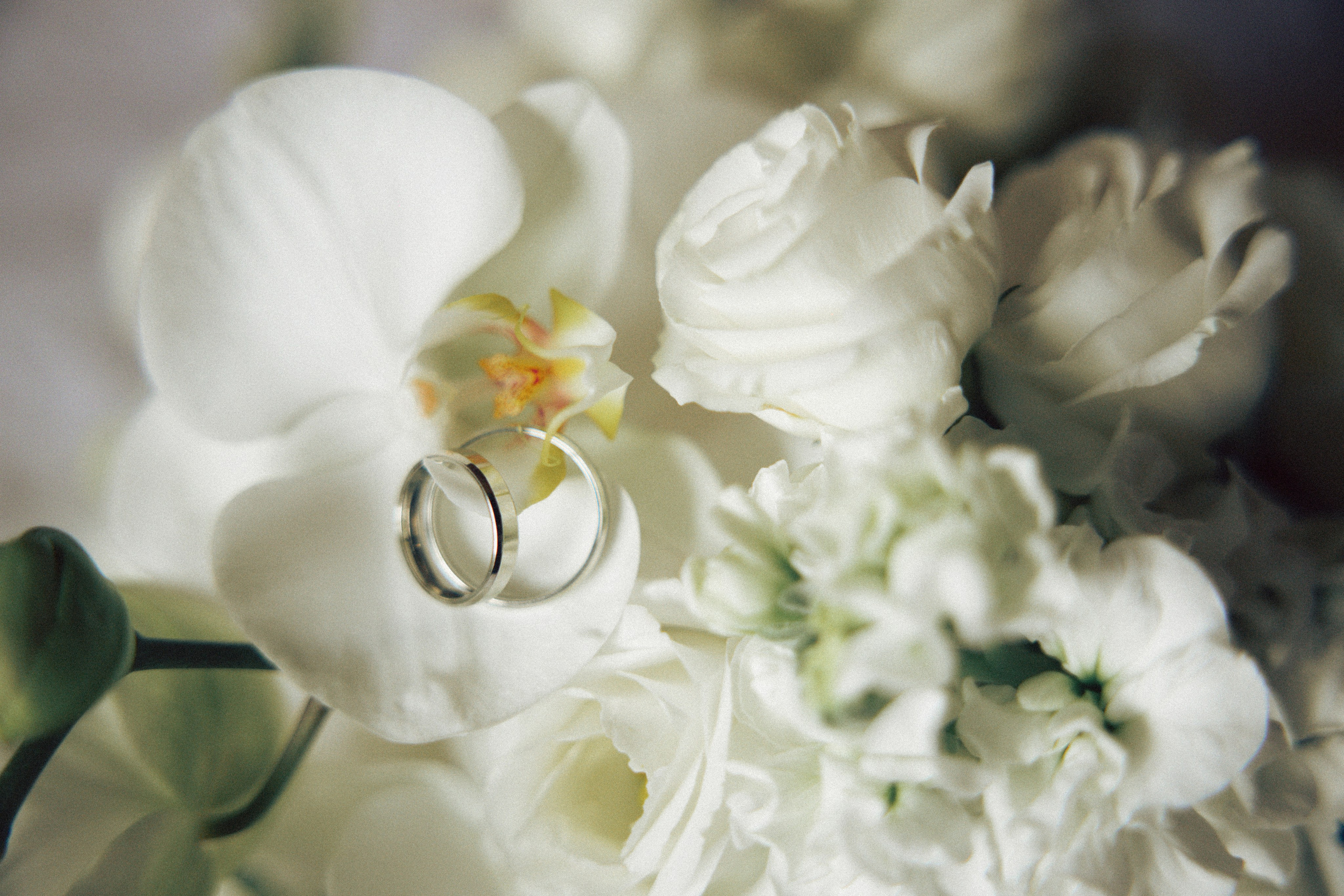 Свадьба Игорь и Анна. ФОТОГРАФ ИРИНА ШАМАТАВА