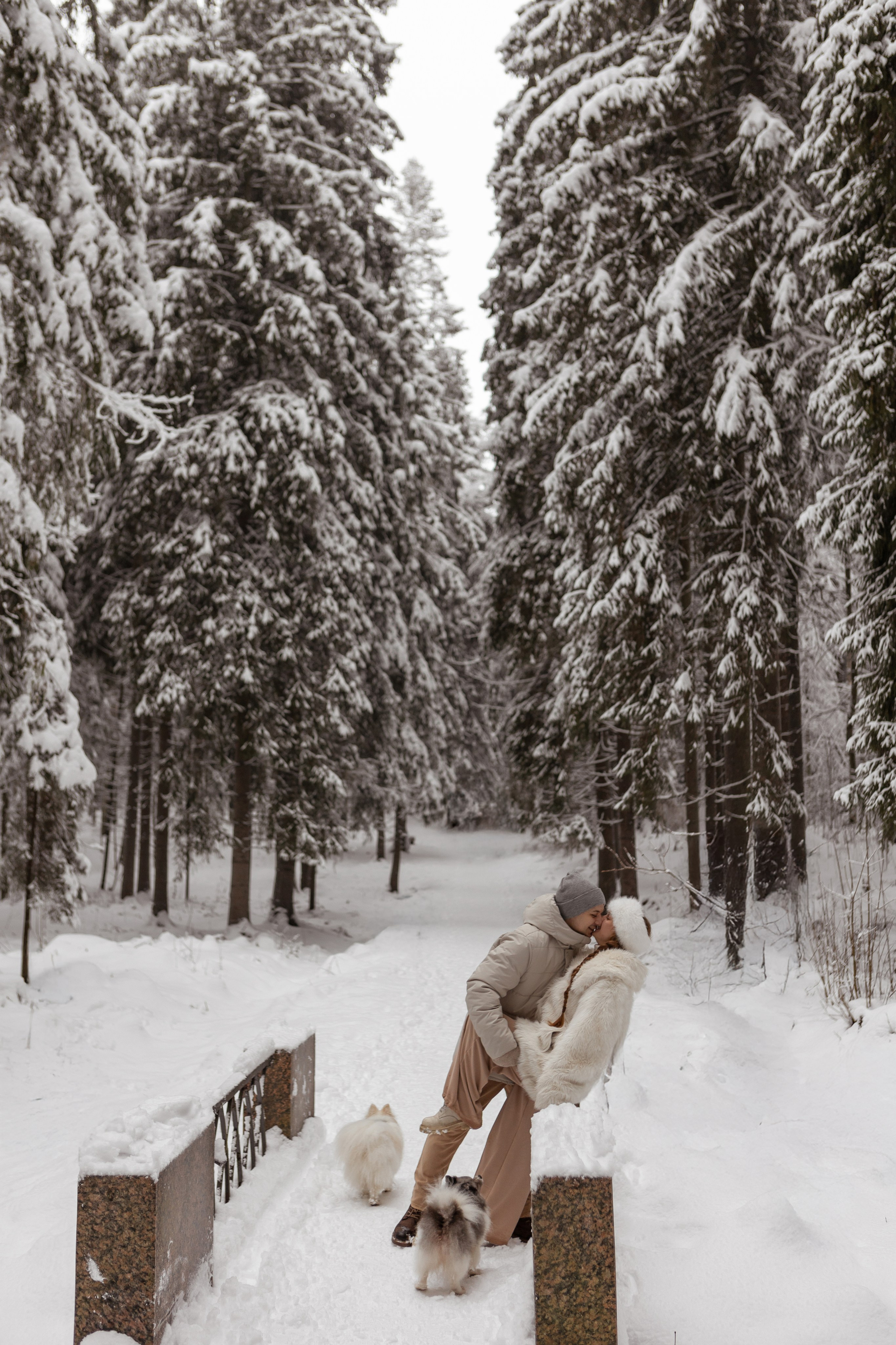 Новогодняя фотосессия с собачками в шуваловском парке. Свадебный фотограф в СПБ | Санкт-Петербурге Анастасия Рахимгулова