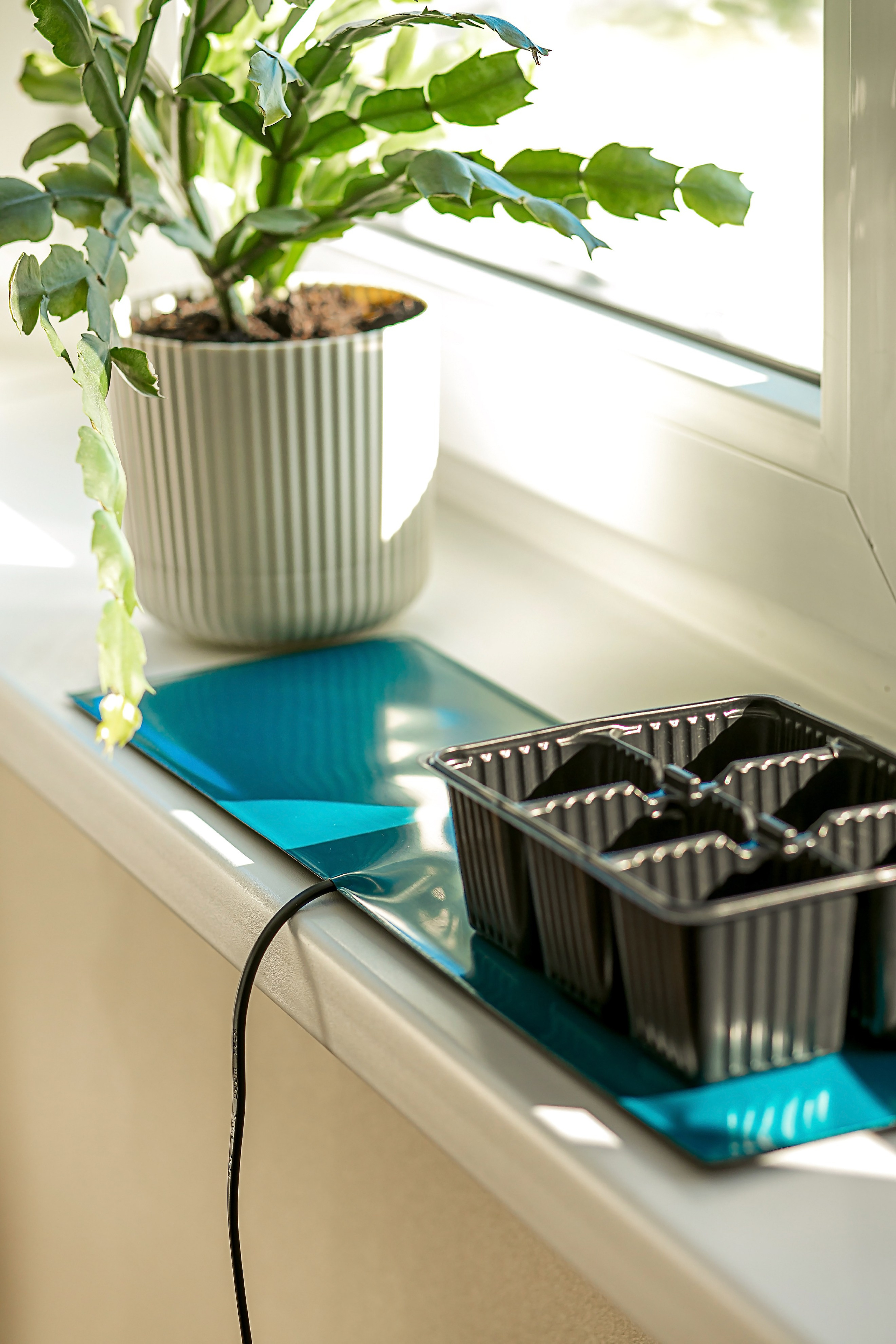 Компания по производству изделий для домашнего электрообогрева. Коврик с подогревом и йогуртница