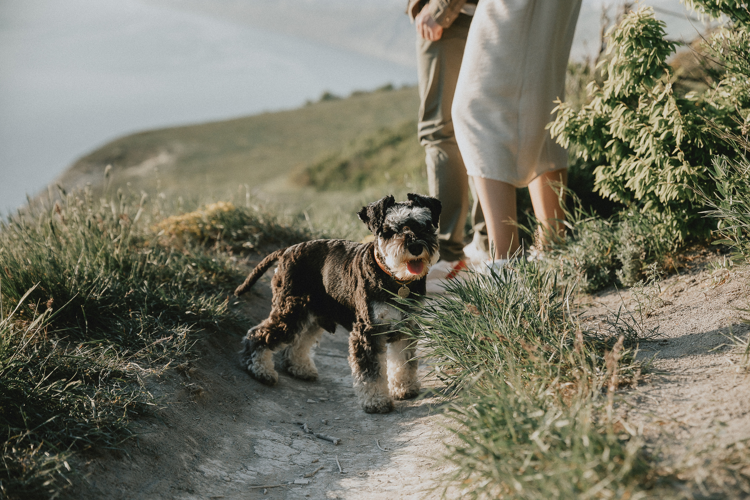 Свадебный фотограф Анапа, фотосессия в Анапе. Свадебный и семейный фотограф Анапа