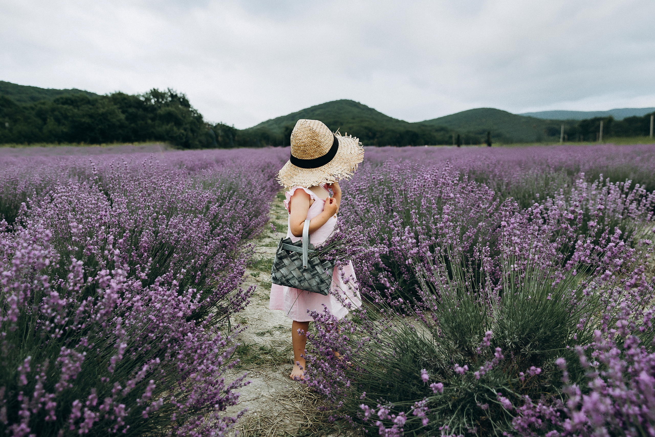 Кристина Каролина лаванда. Свадебный и семейный фотограф Анапа