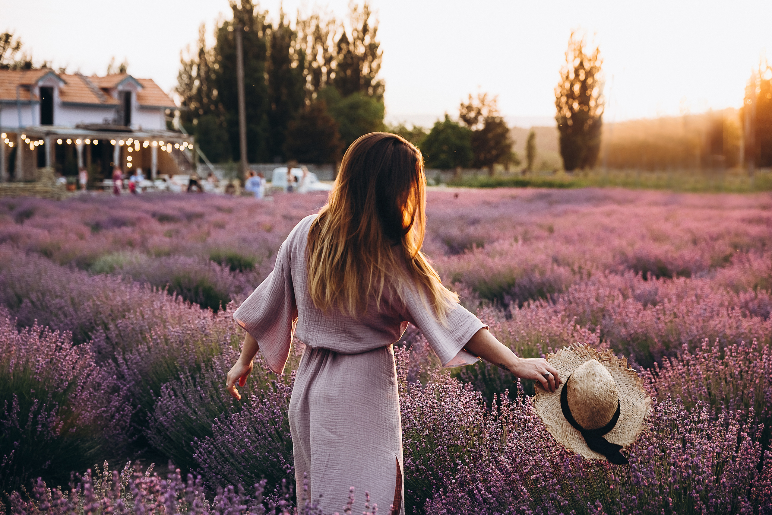 Кристина Каролина лаванда. Свадебный и семейный фотограф Анапа