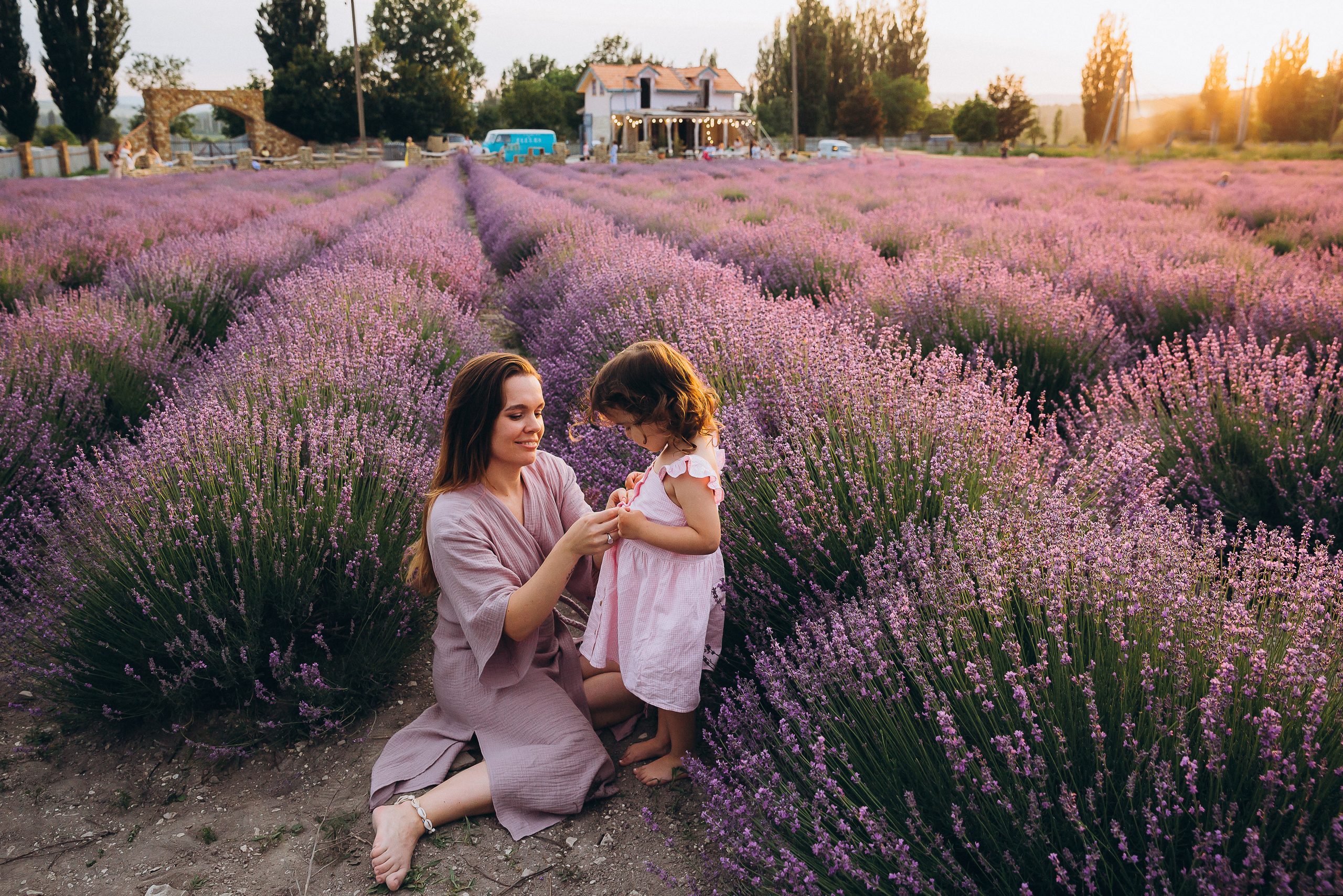 Кристина Каролина лаванда. Свадебный и семейный фотограф Анапа