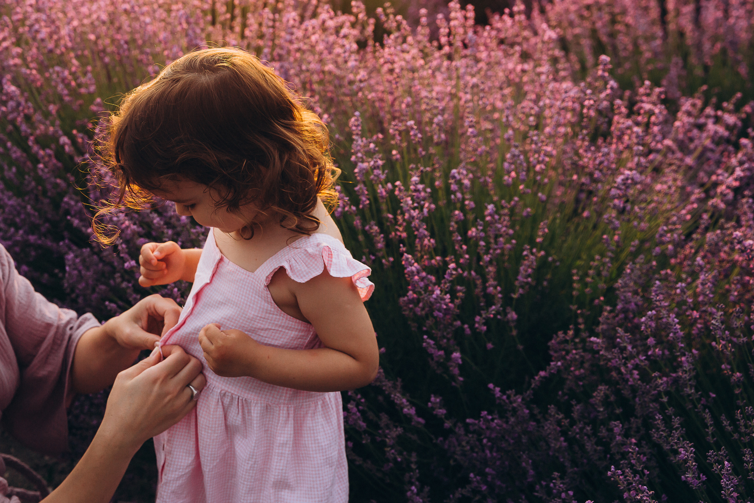 Кристина Каролина лаванда. Свадебный и семейный фотограф Анапа
