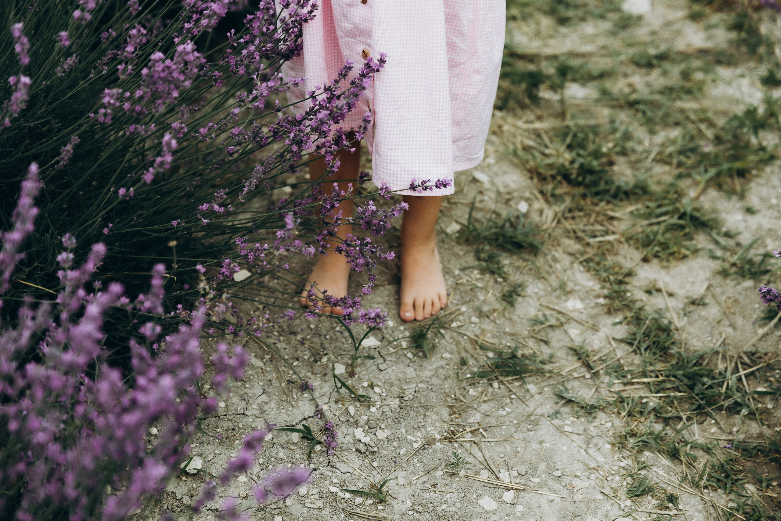 Кристина Каролина лаванда. Свадебный и семейный фотограф Анапа