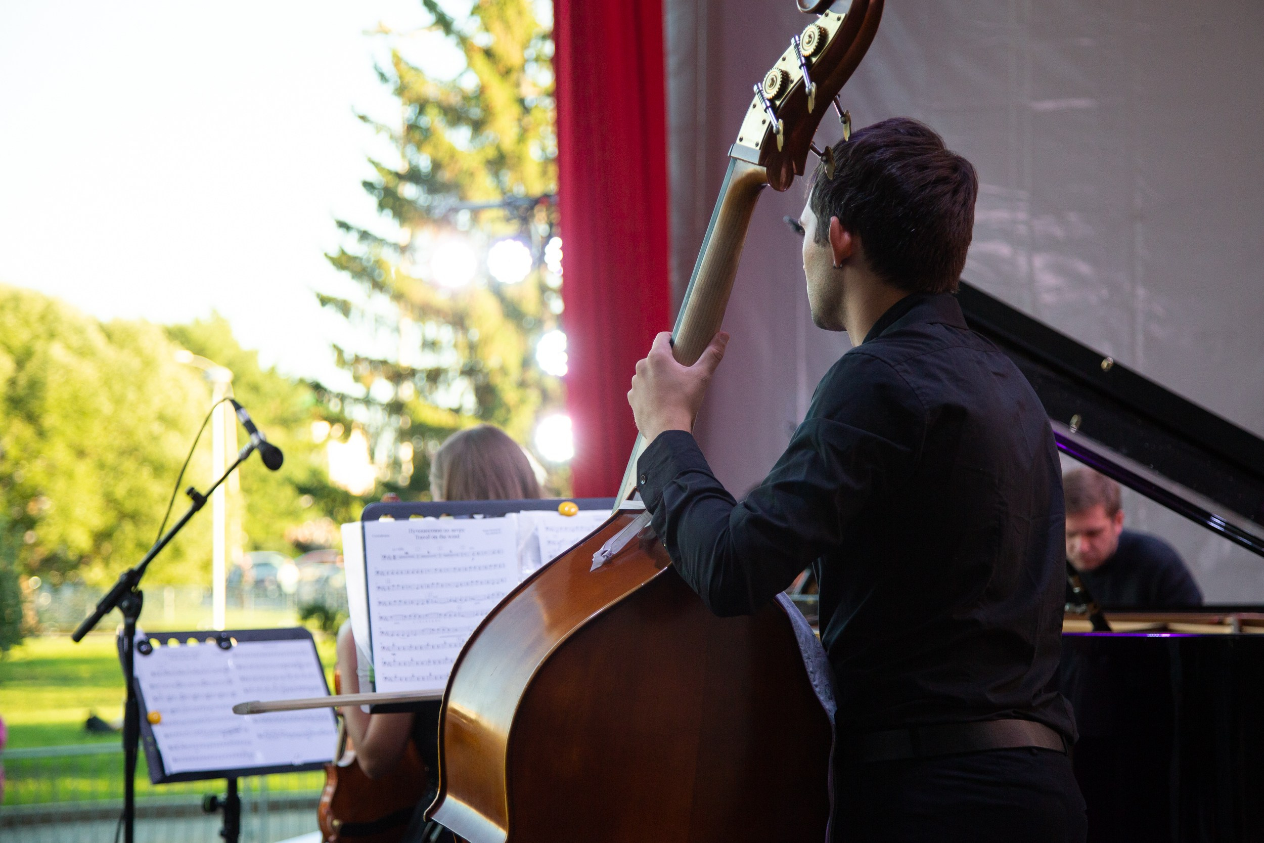 Венский фестиваль. Главная