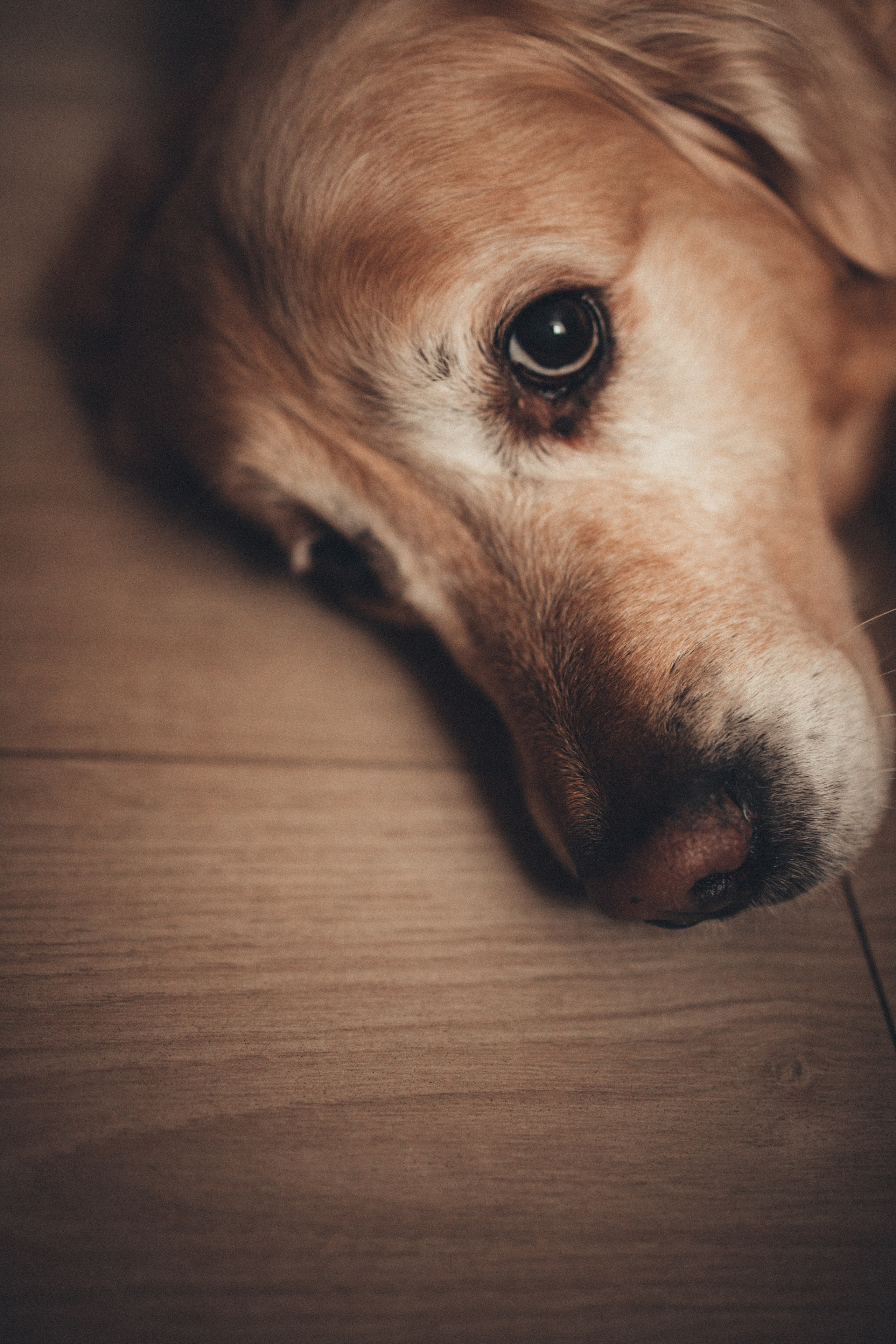 В гостях у Лёвы. Семейный lifestyle фотограф в Казани Ксения Верясова