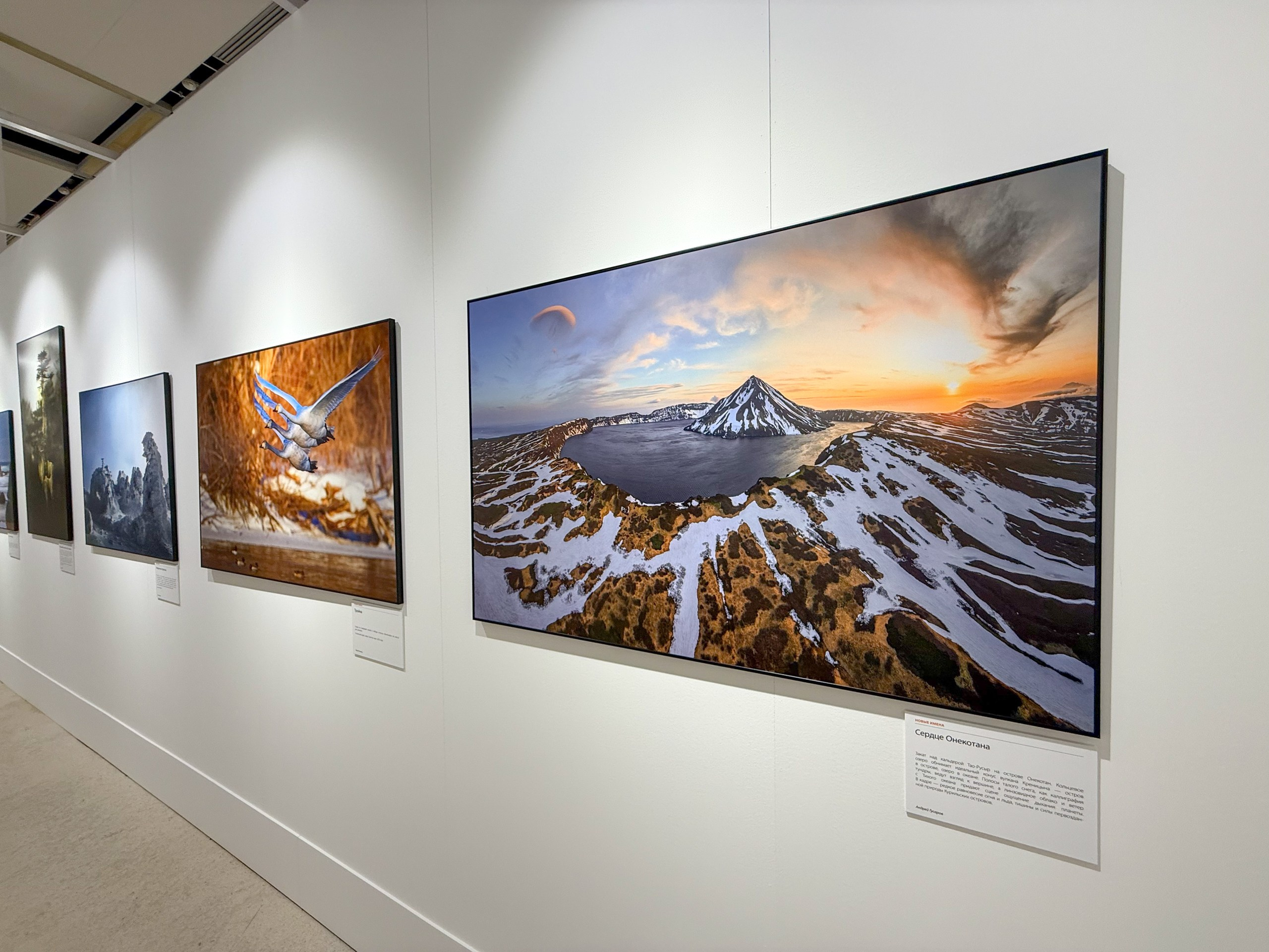 Награды. Andrew Gusarov Nature Photography