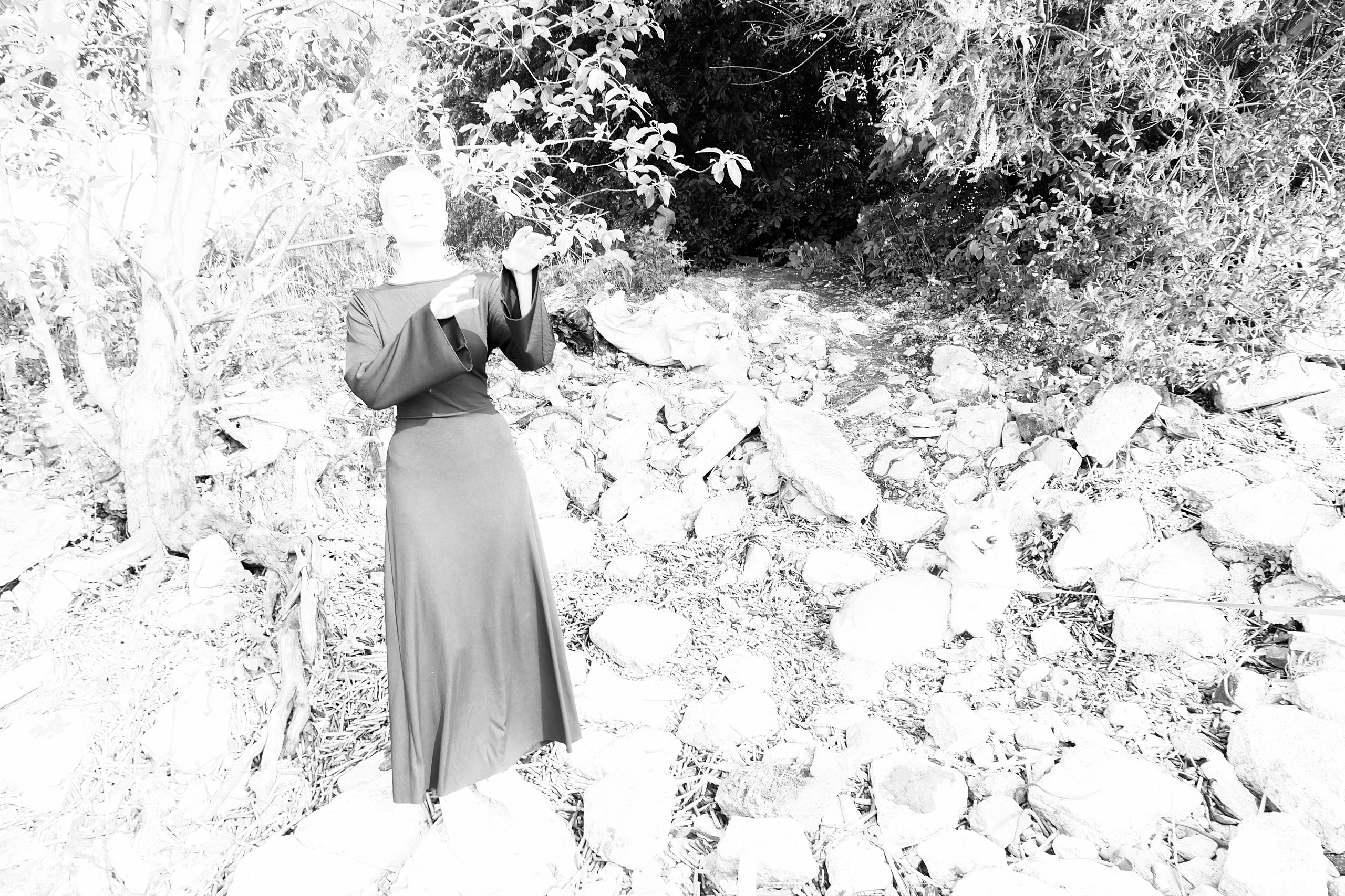 Shark and Hum. Портретный фотограф DanilNabody