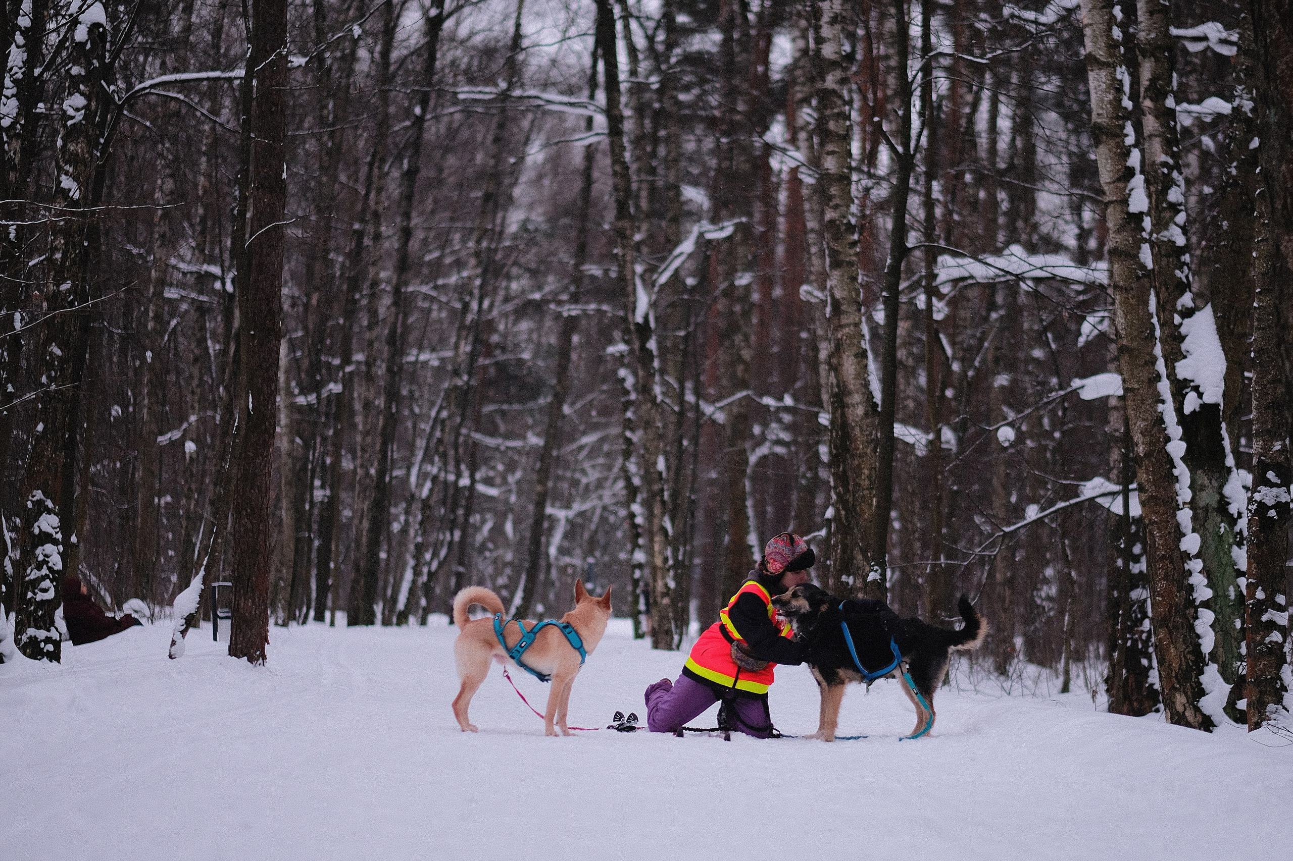 Рик, Листик и их Катя. Дмитрий Бречалов