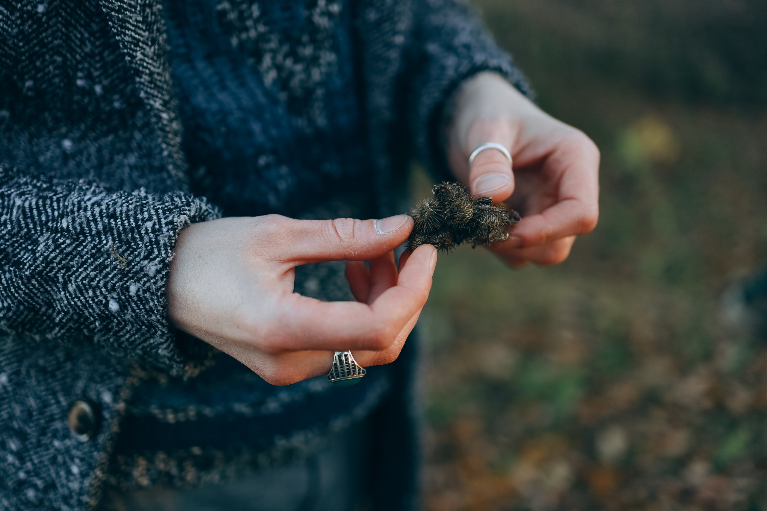 Ян, прогулка в Коломенском. Ангелина Богданова, междисциплинарная художница