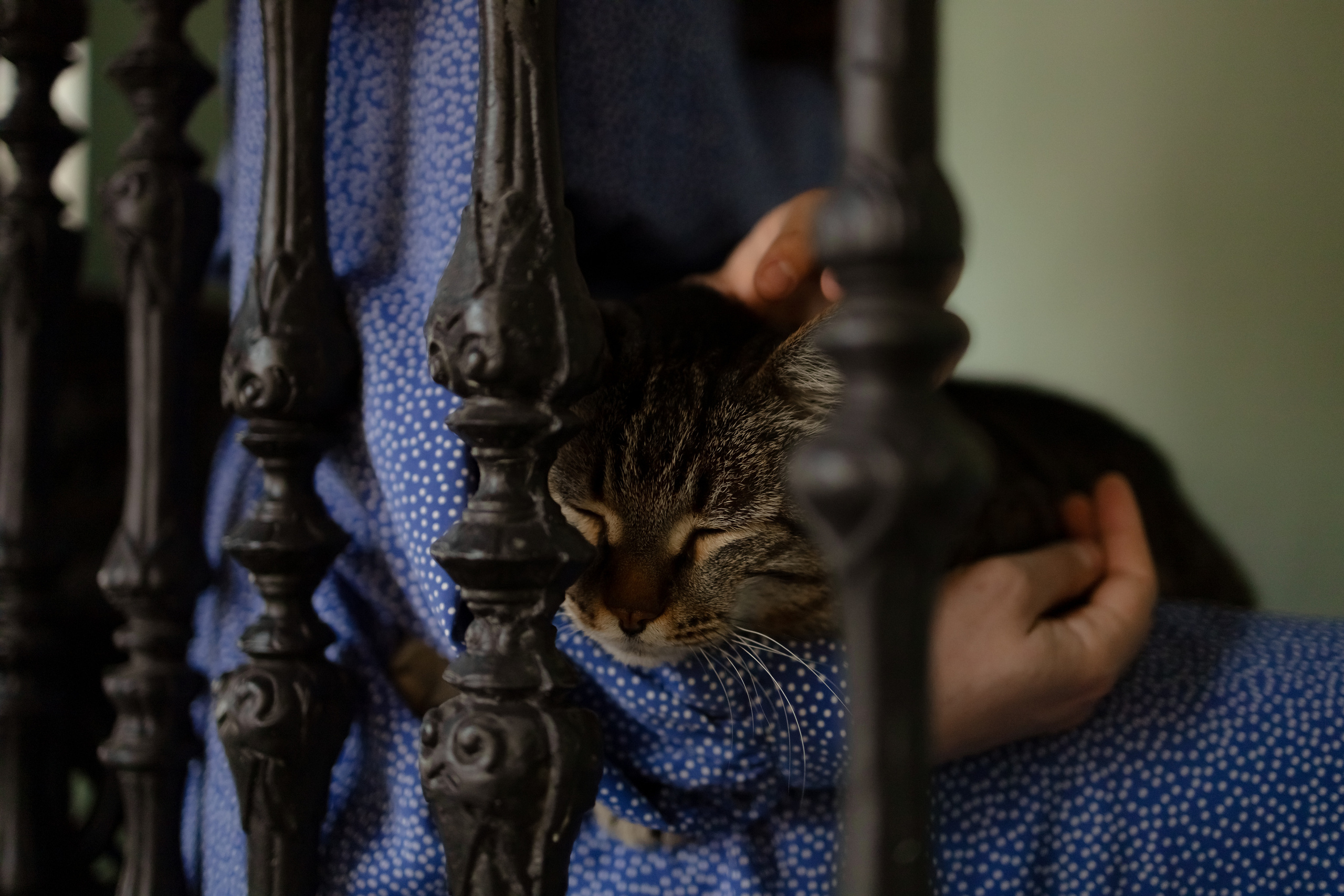 История в библиотеке. Ангелина Богданова, междисциплинарная художница