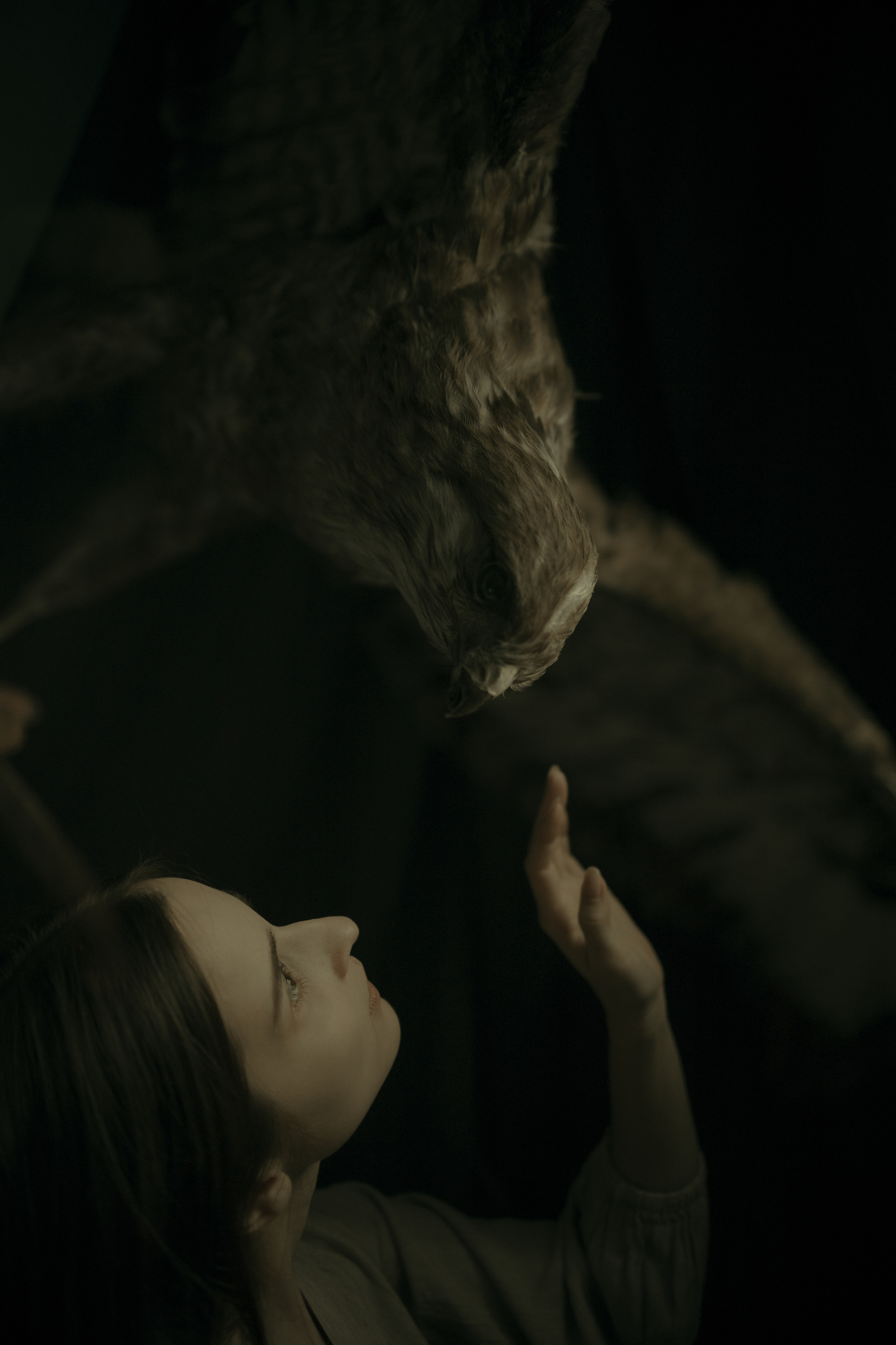 Девушка с соколом. Ангелина Богданова, междисциплинарная художница