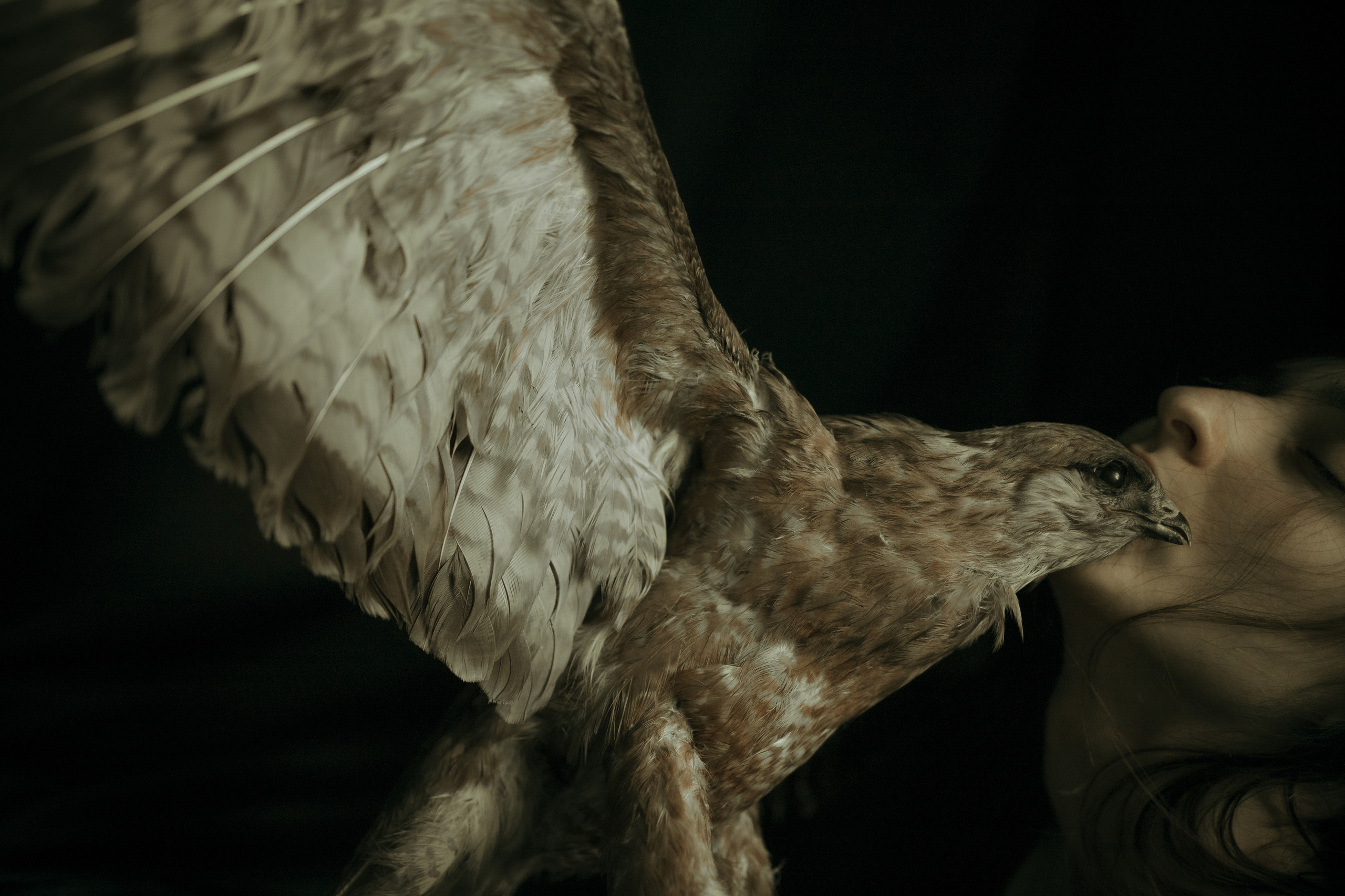 Девушка с соколом. Ангелина Богданова, междисциплинарная художница