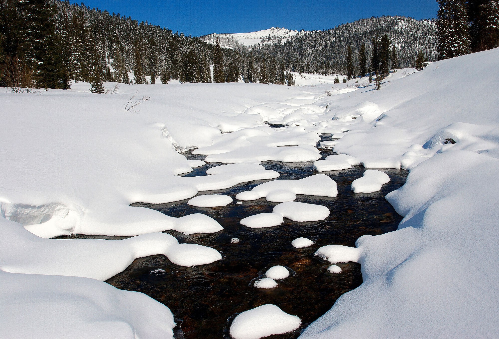 Свадебный фотограф в Геленджике