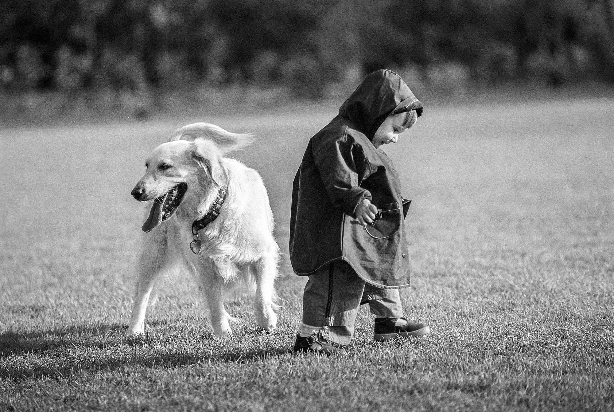 Свадебный фотограф в Геленджике