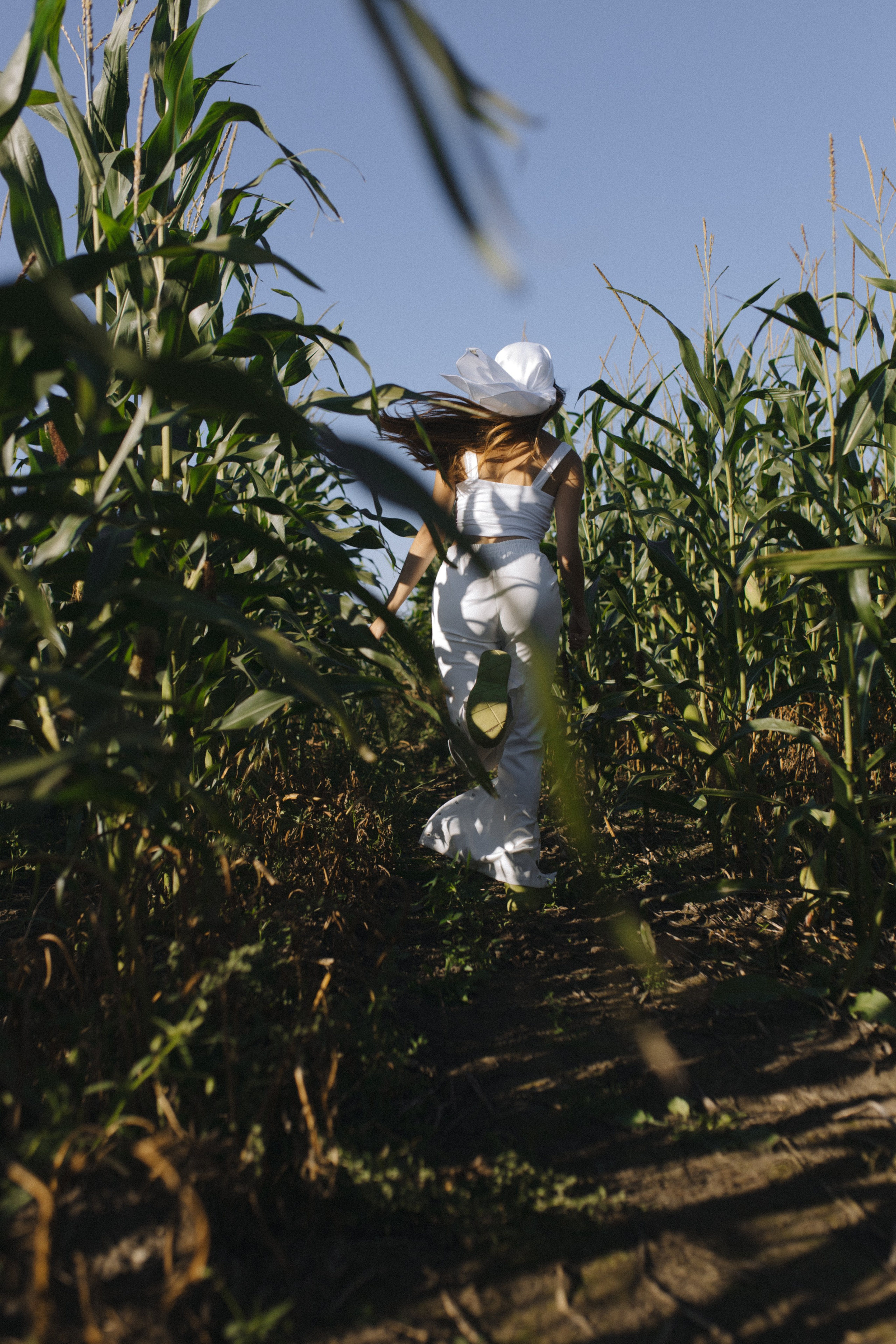 Любовь нашла в кукурузе