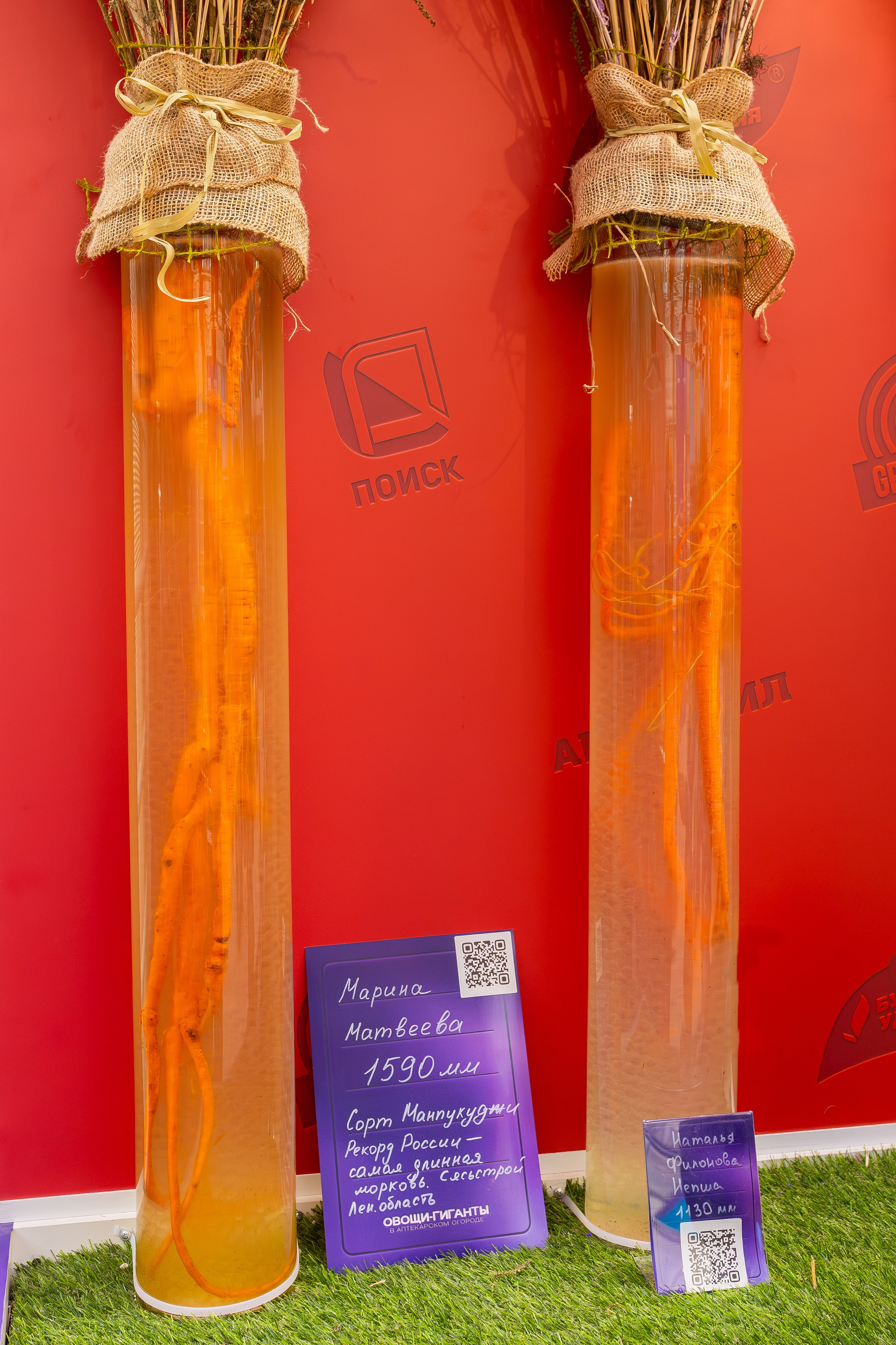 Овощи-гиганты. Александра Куликова фотограф, Москва