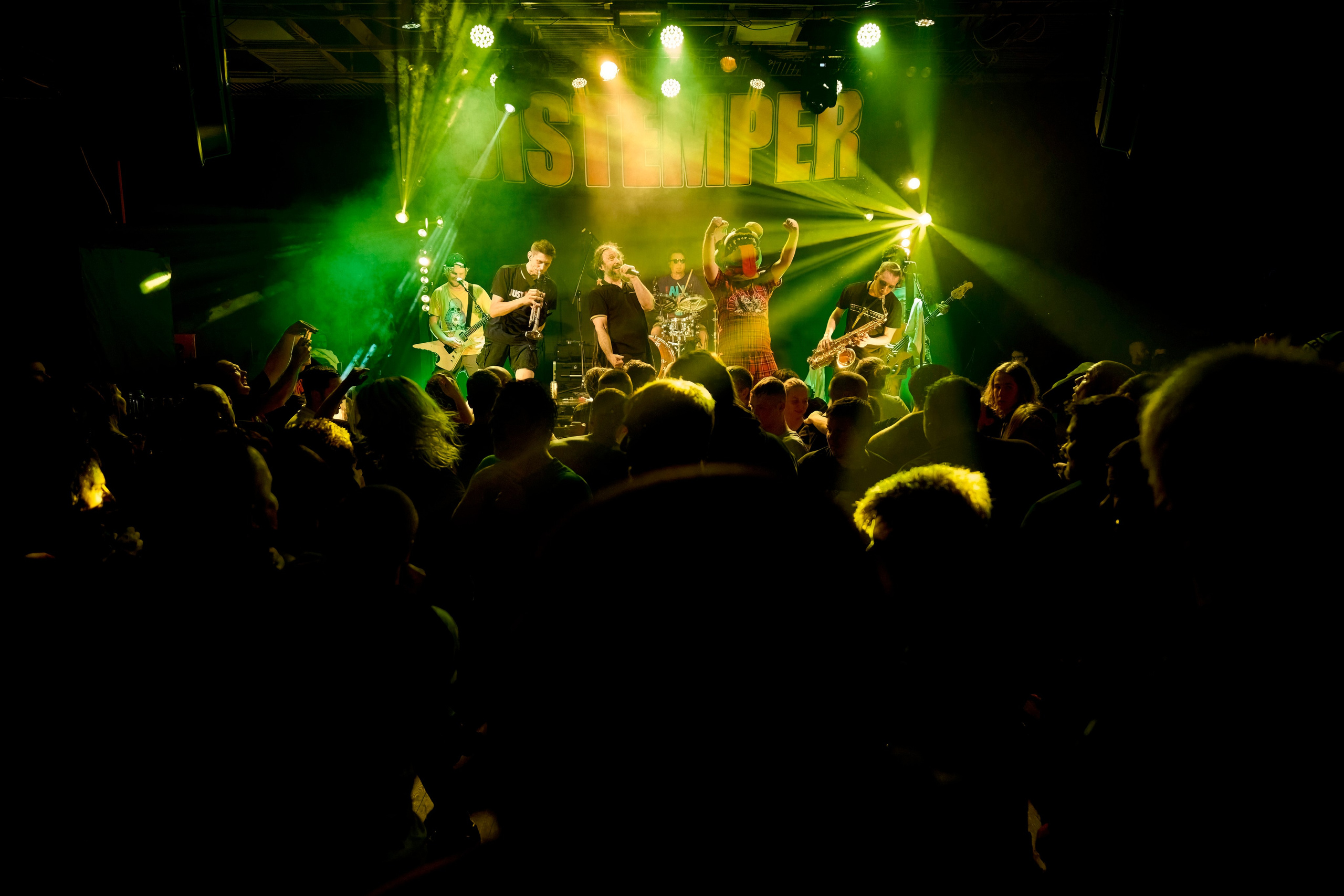 DISTEMPER / AGLOMERAT / 24.11.2023. Ekhovanov | фото- видеосъемка