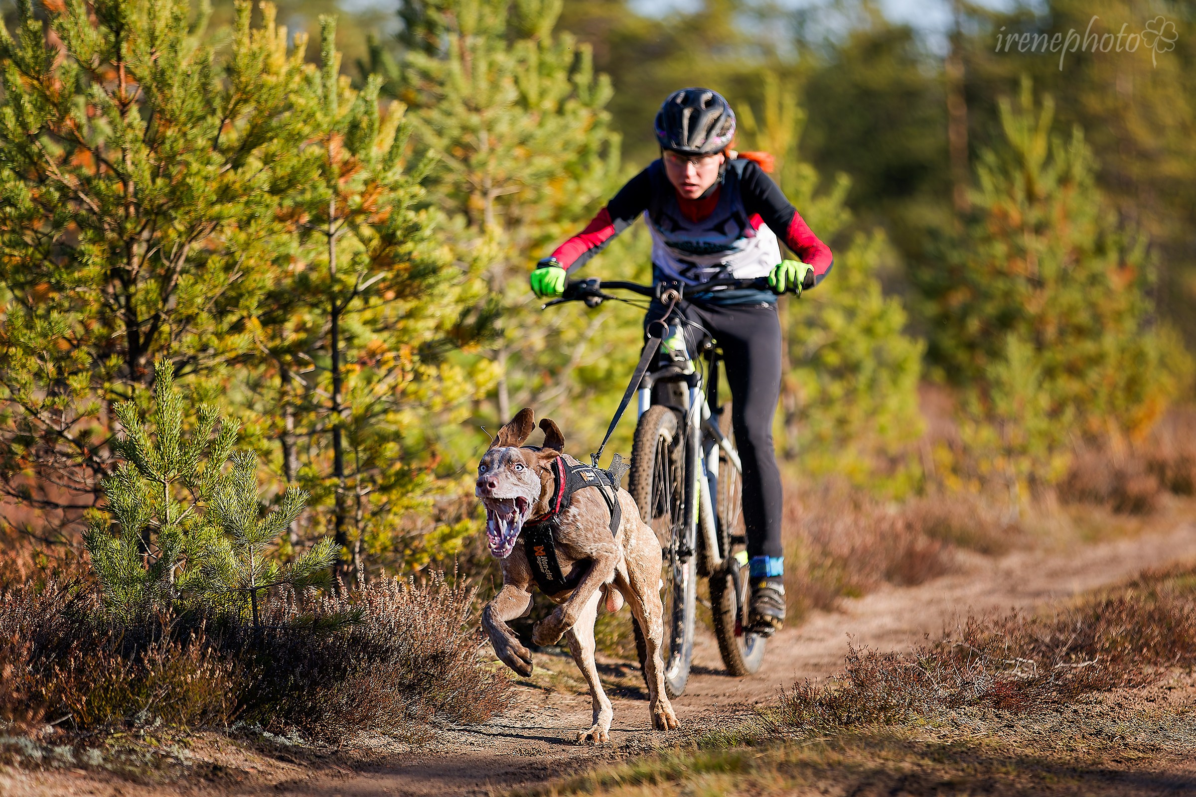 Чемпионат Санкт-Петербурга осень 2025. Irenephoto.ru