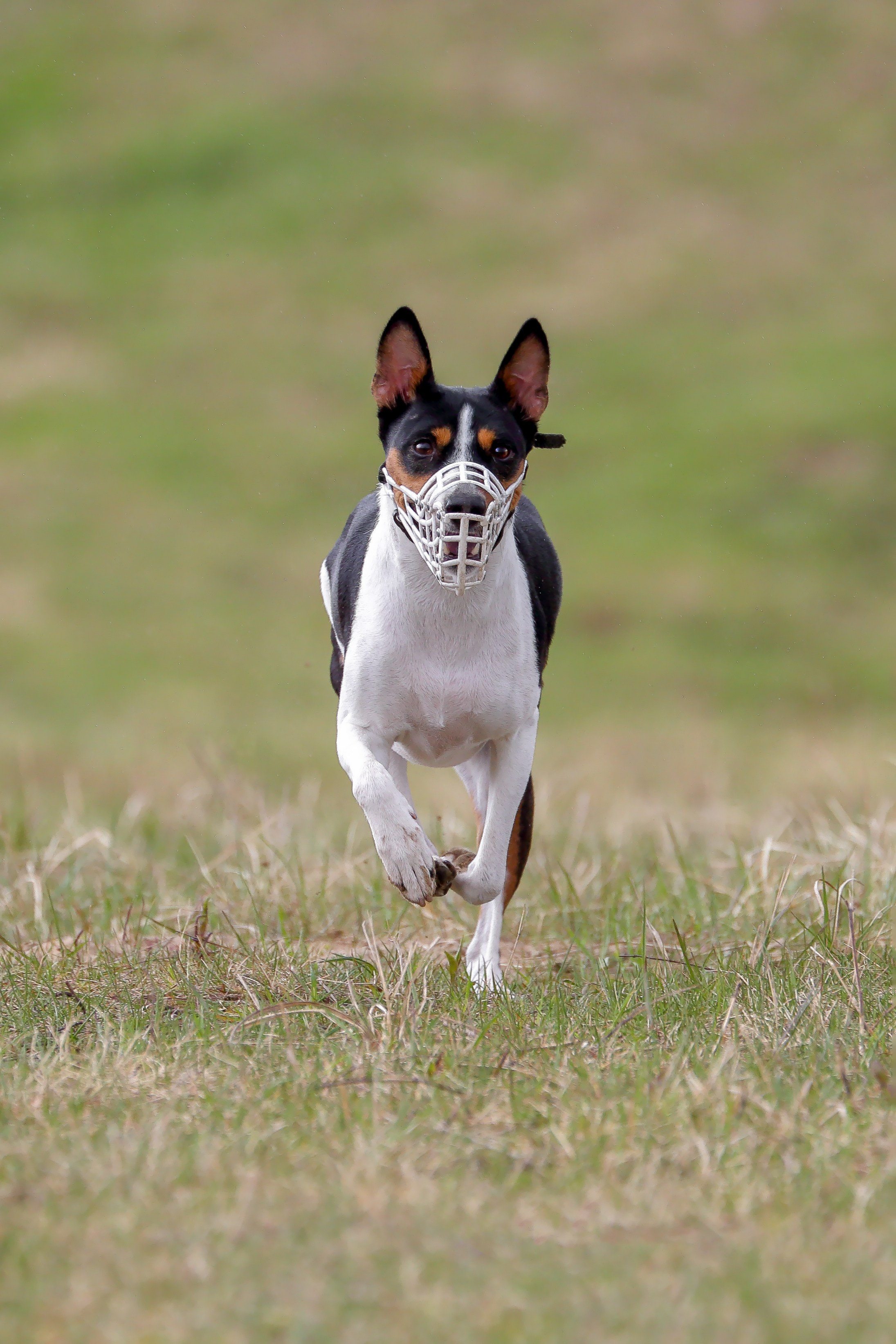 Lure Club май 2024. Irenephoto.ru