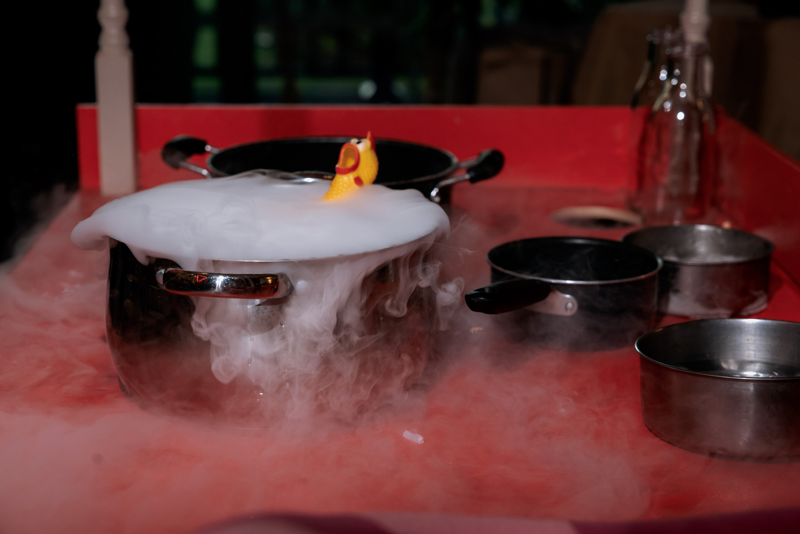 Праздник в стиле ЛИЛО и СТИЧ. Семейный фотограф в Москве, Щелково, Фрязино _ Виктория Степанова