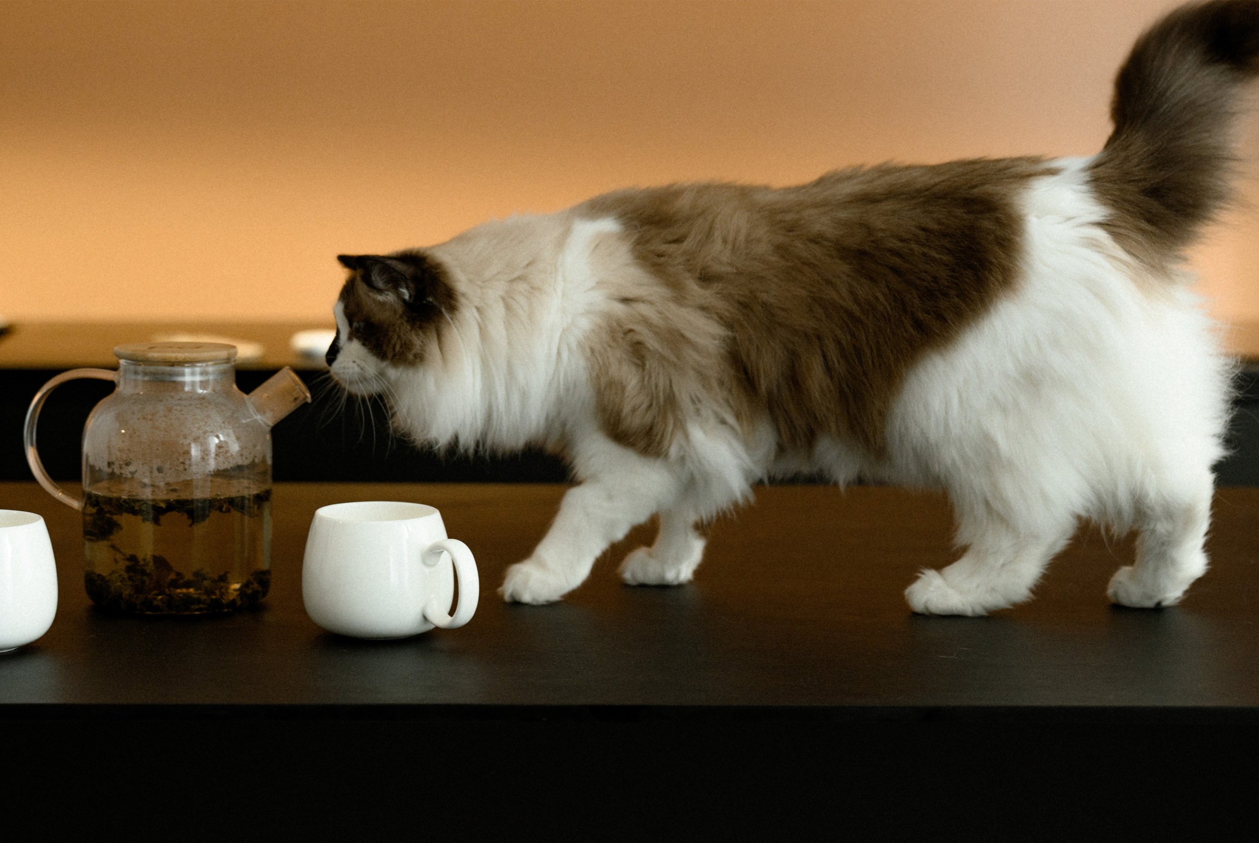 Вместе навсегда. Свадебный фотограф в Санкт-Петербурге, Москве, СПб Сергей Поддубный