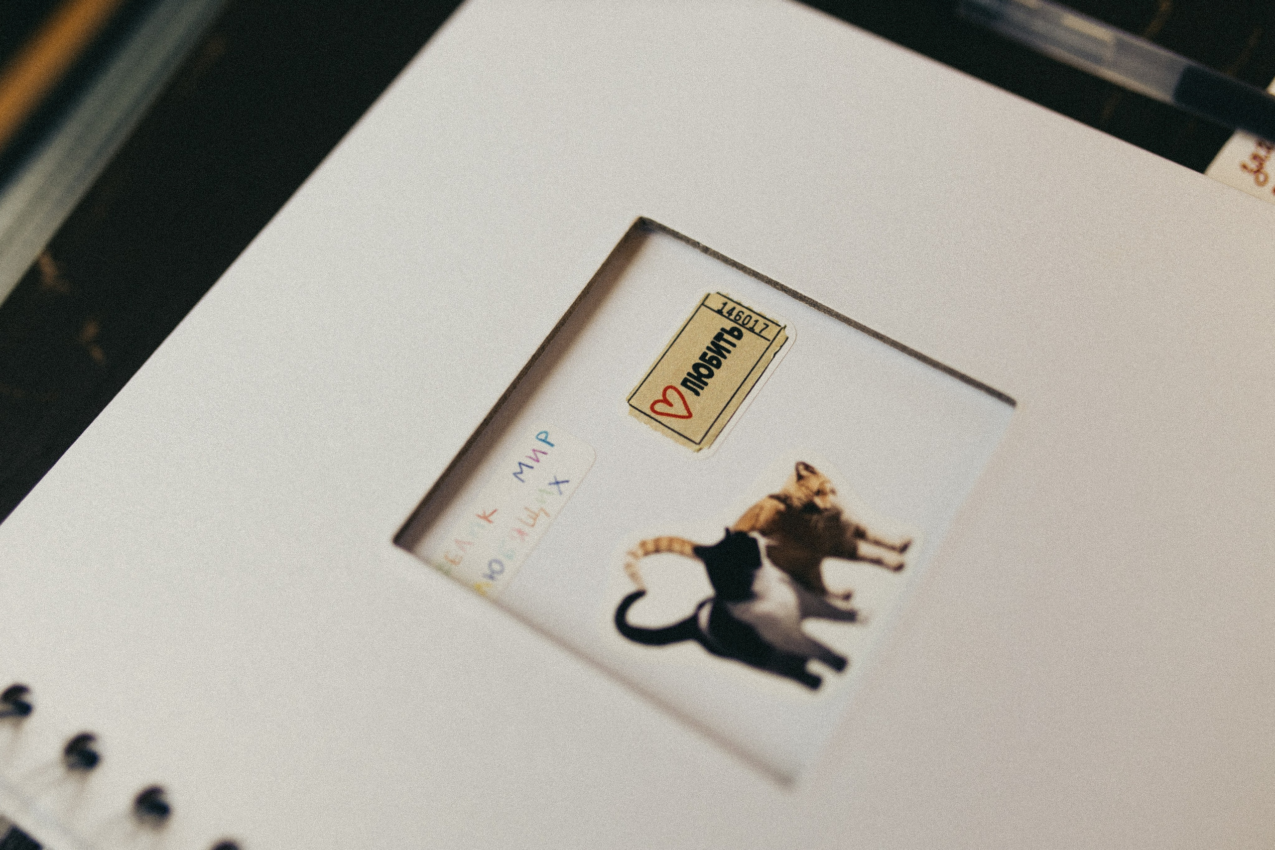 Русская рыбалка. Фотограф Анастасия Платонова | Санкт-Петербург