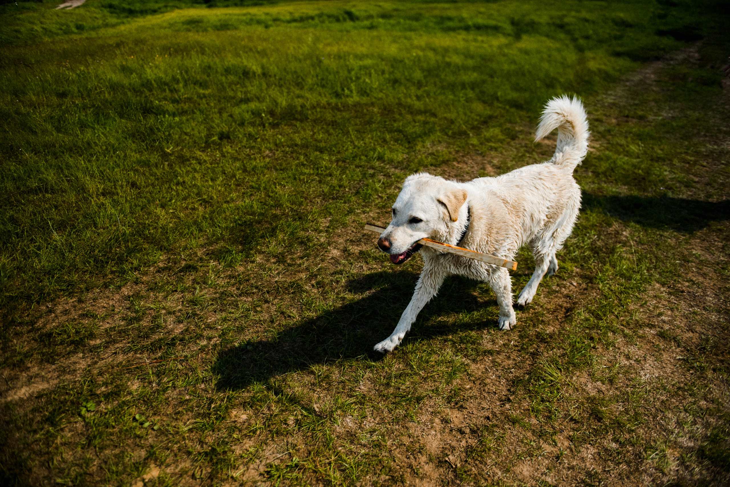 Обещали дождь. Свадебный и портретный фотограф Пётр Ладанов
