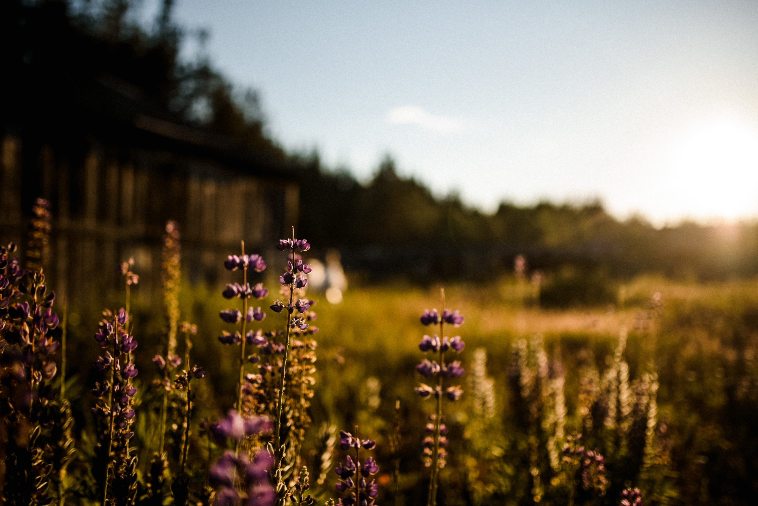 Обещали дождь. Свадебный и портретный фотограф Пётр Ладанов