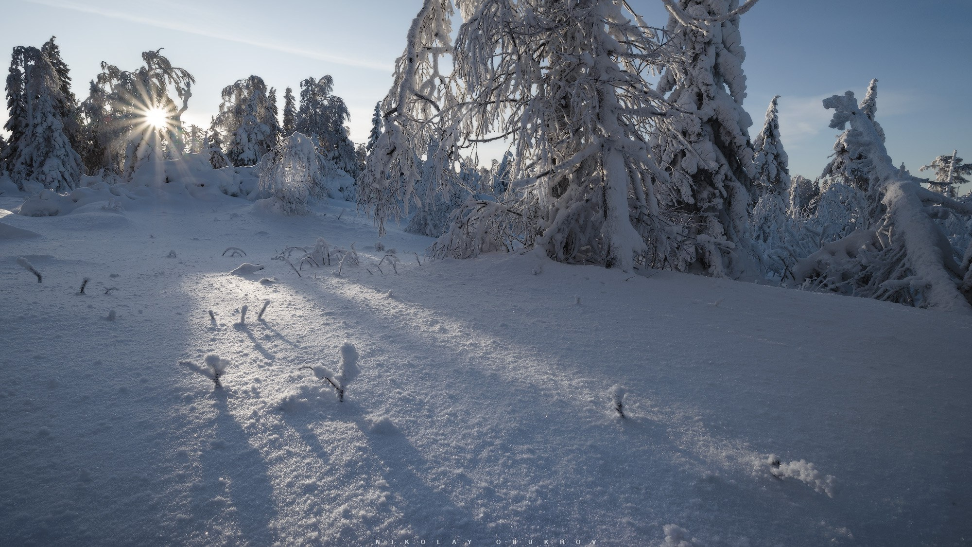 Лес под снегом. Все деревья и ели скрыты в сугробах, только ветки проглядывают сквозь снежный покров. Морозный узор на фоне зимнего неба.