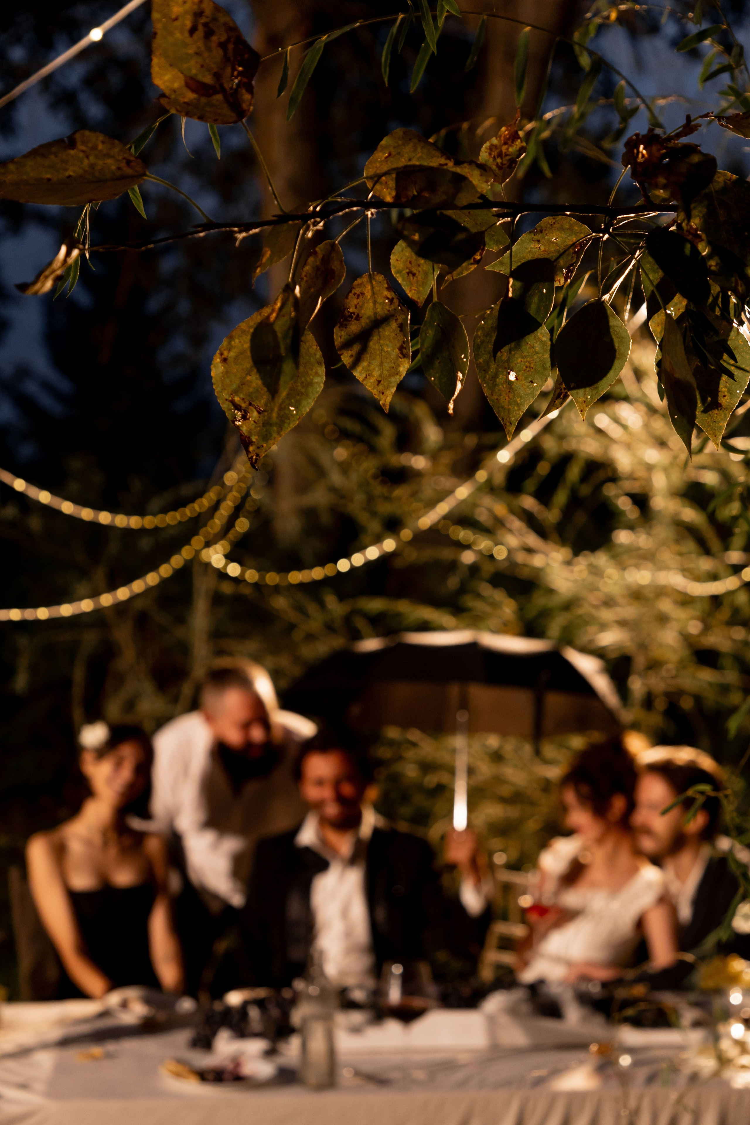 Итальянская свадьба. Лада Канана Свадебный и семейный фотограф