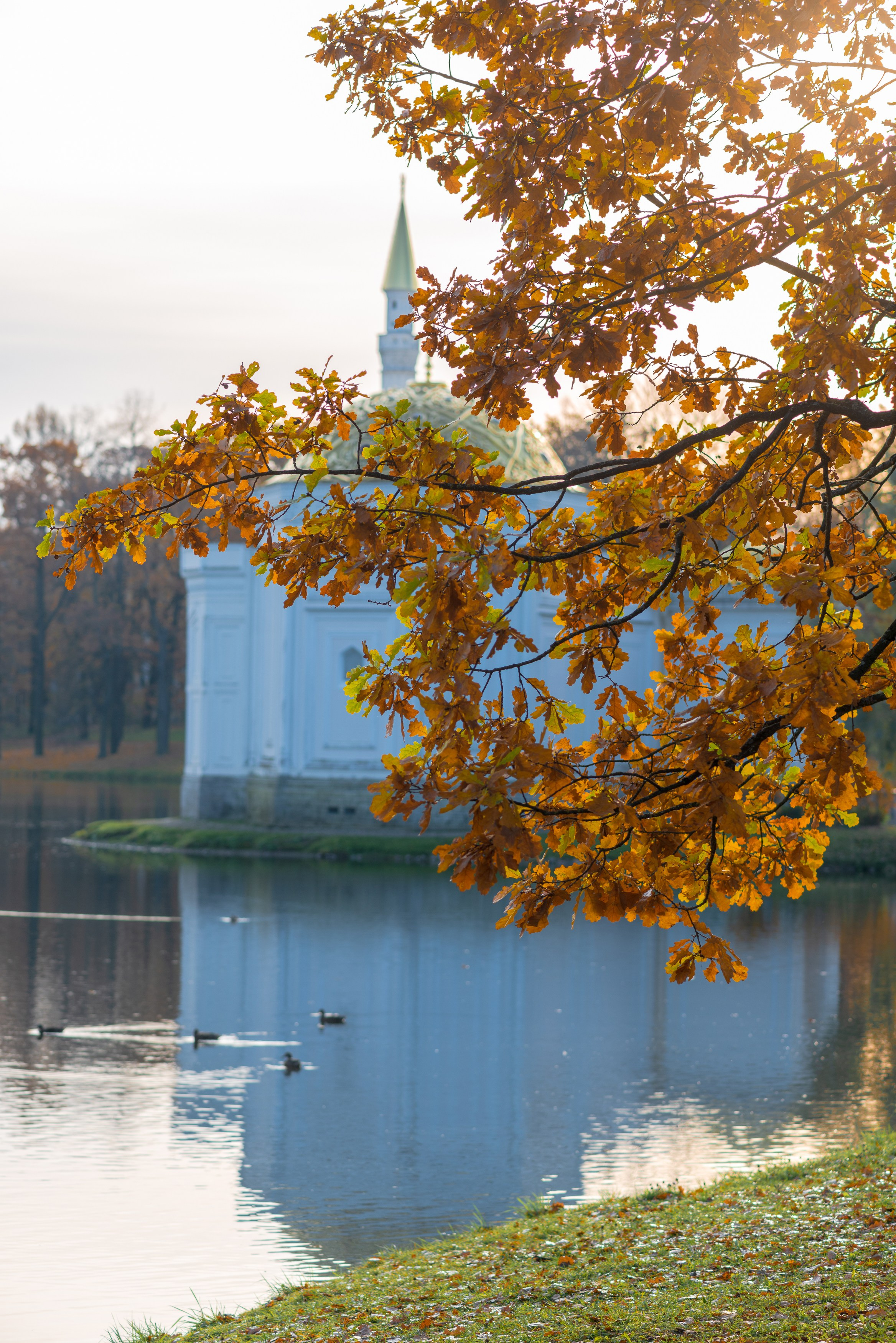 SAINT PETERSBURG | SUBURBS. Personal website of photographer Dmitry Raikin