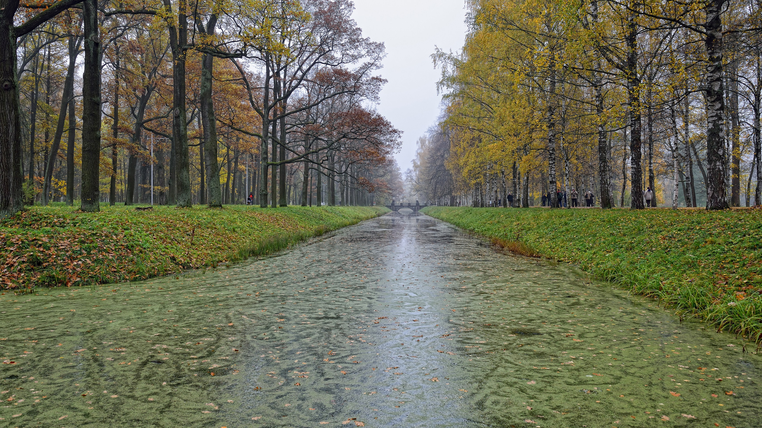 SAINT PETERSBURG | SUBURBS. Personal website of photographer Dmitry Raikin