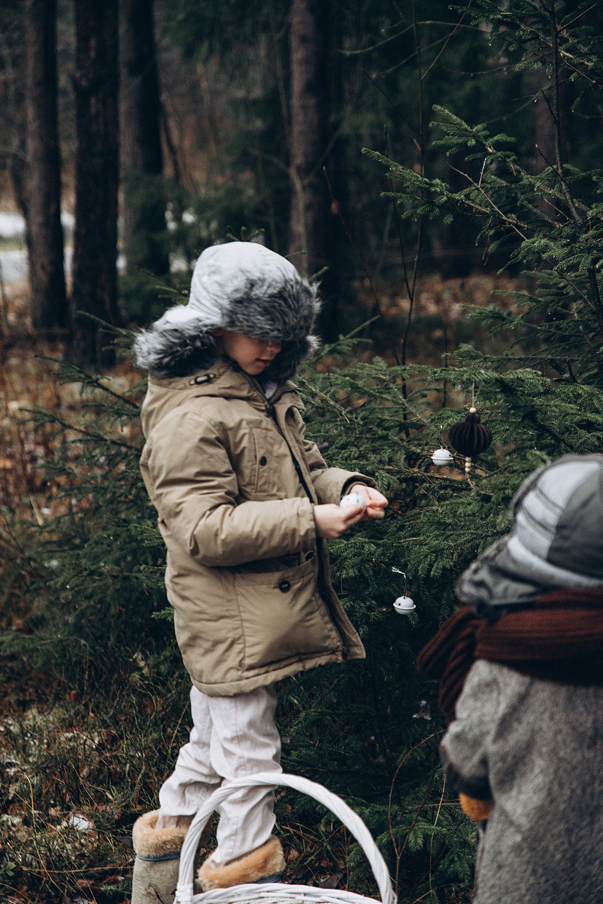Елка в лесу. Репортажный и детский фотограф в Минске