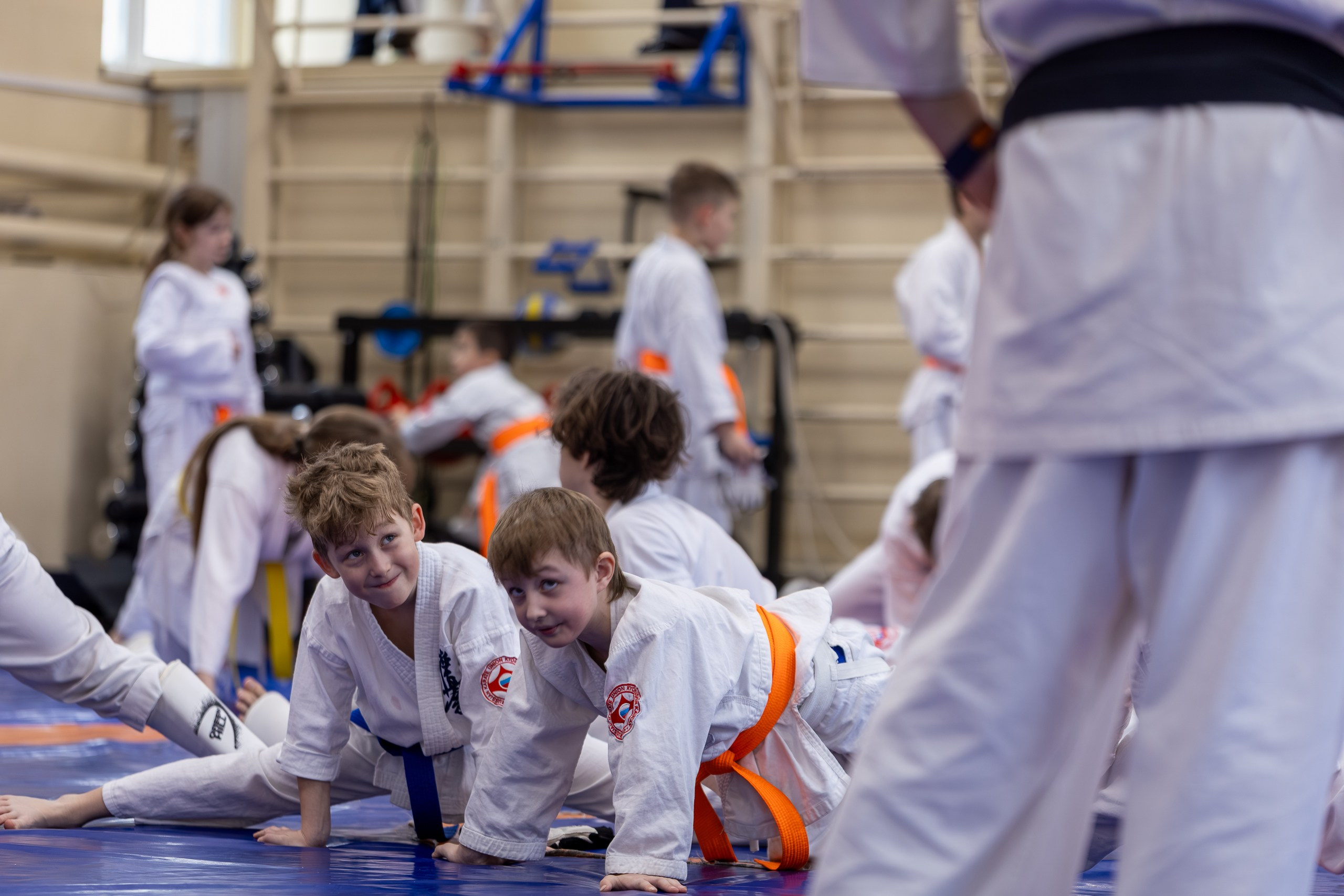 Открытый урок по карате февраль 2026. Главная