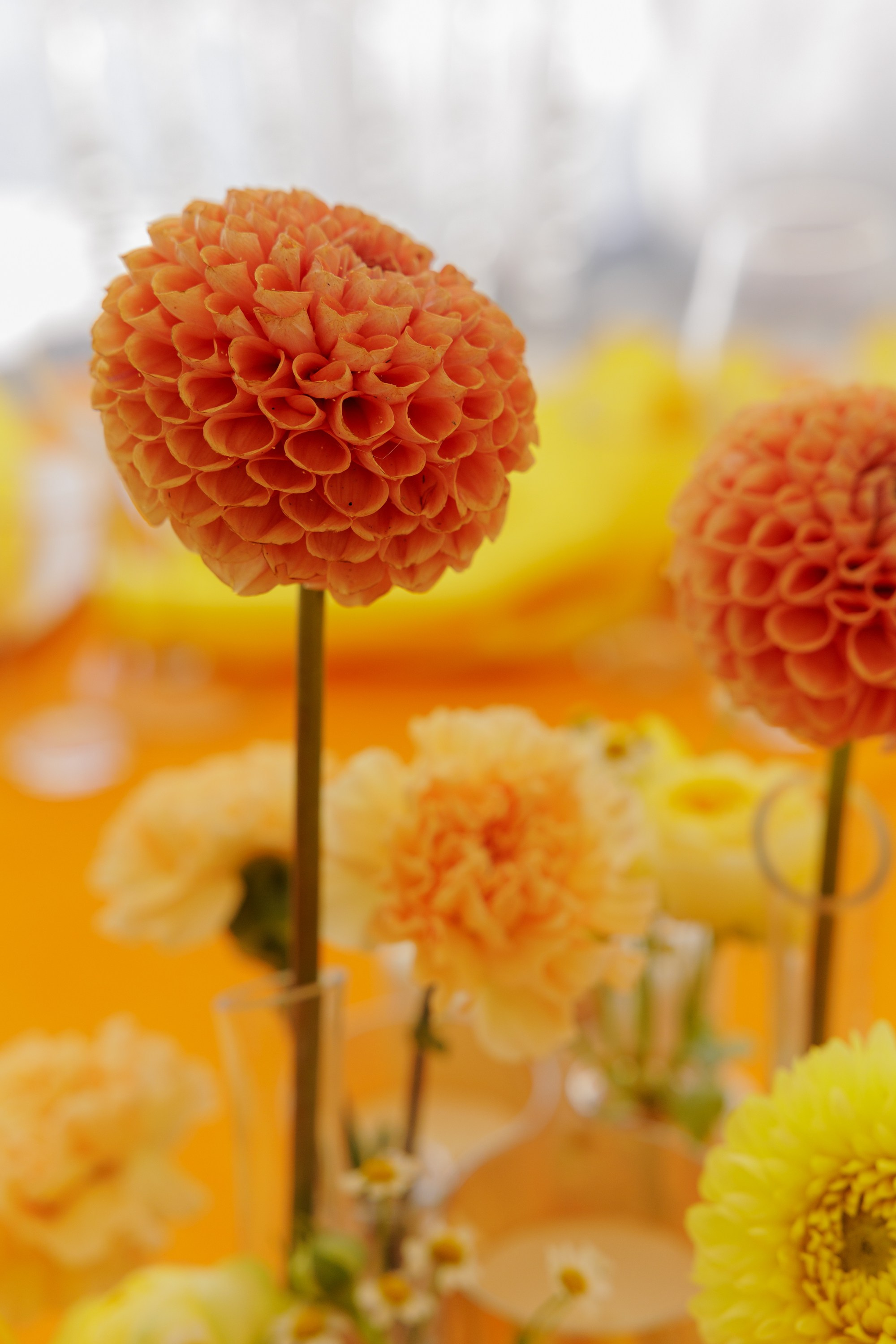 Свадьбы. Свадебный фотограф