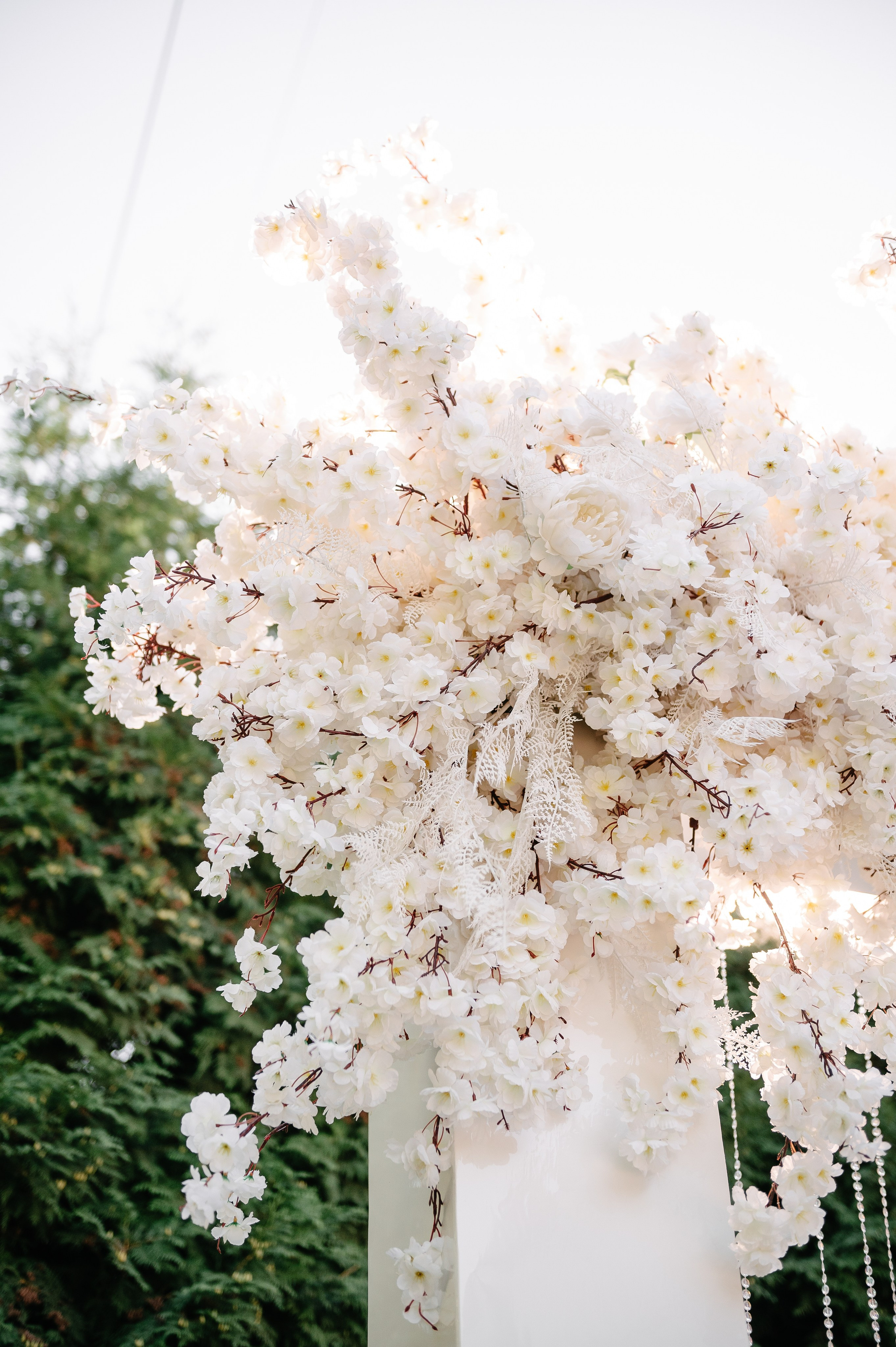 Н&Т. Фотограф Рязань. Дарья Дмитриева