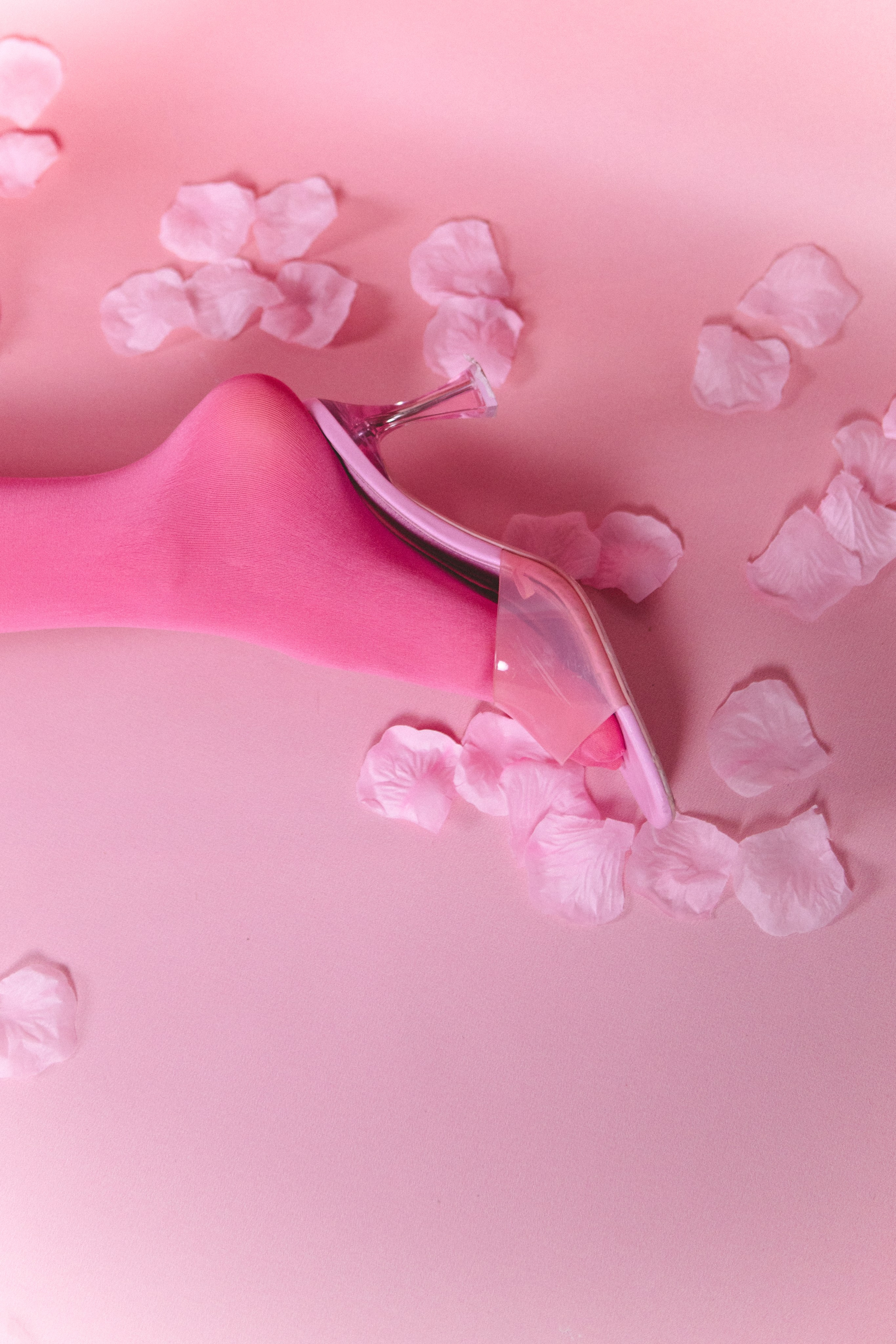 Регина. Фотосессия на розовом фоне. Фотограф в Москве Ольга Сатони