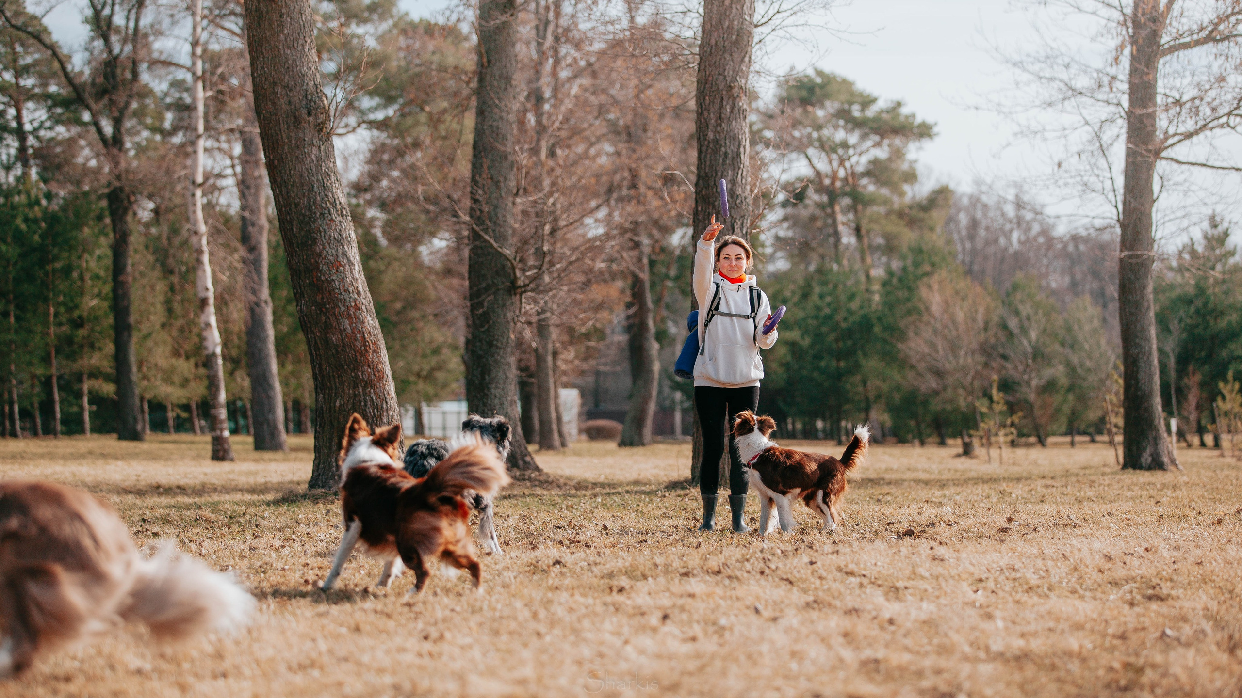 Бордюха, Лора, Берта, Мета. Главная