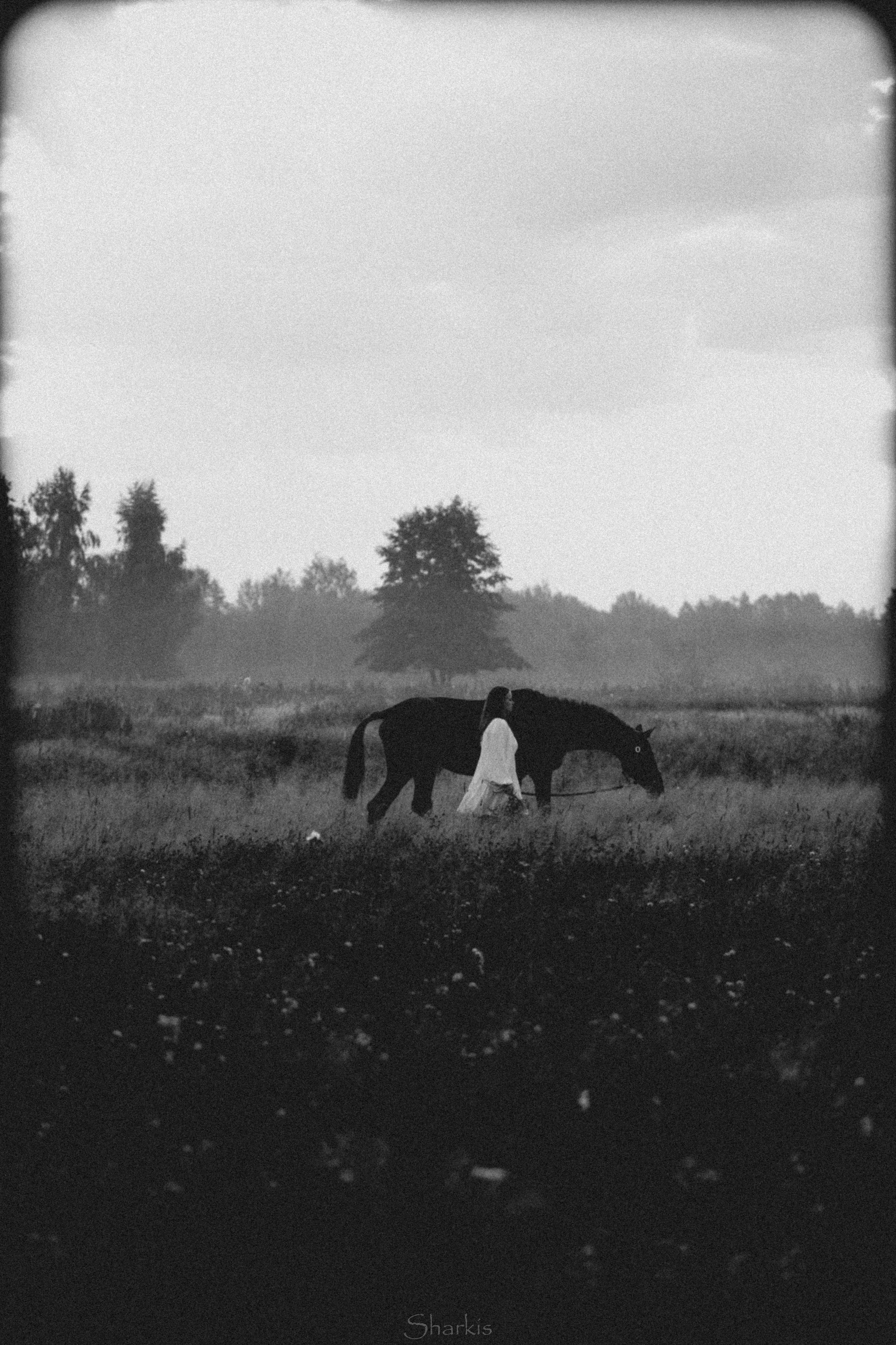 Аня и Гас. Главная