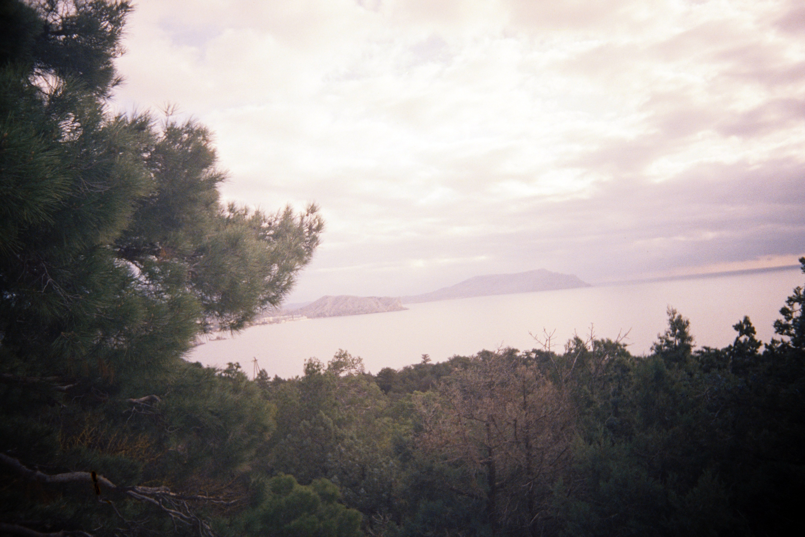 Проект: Плёнка и Города. Виктория Князева| фотограф из Санкт-Петербурга