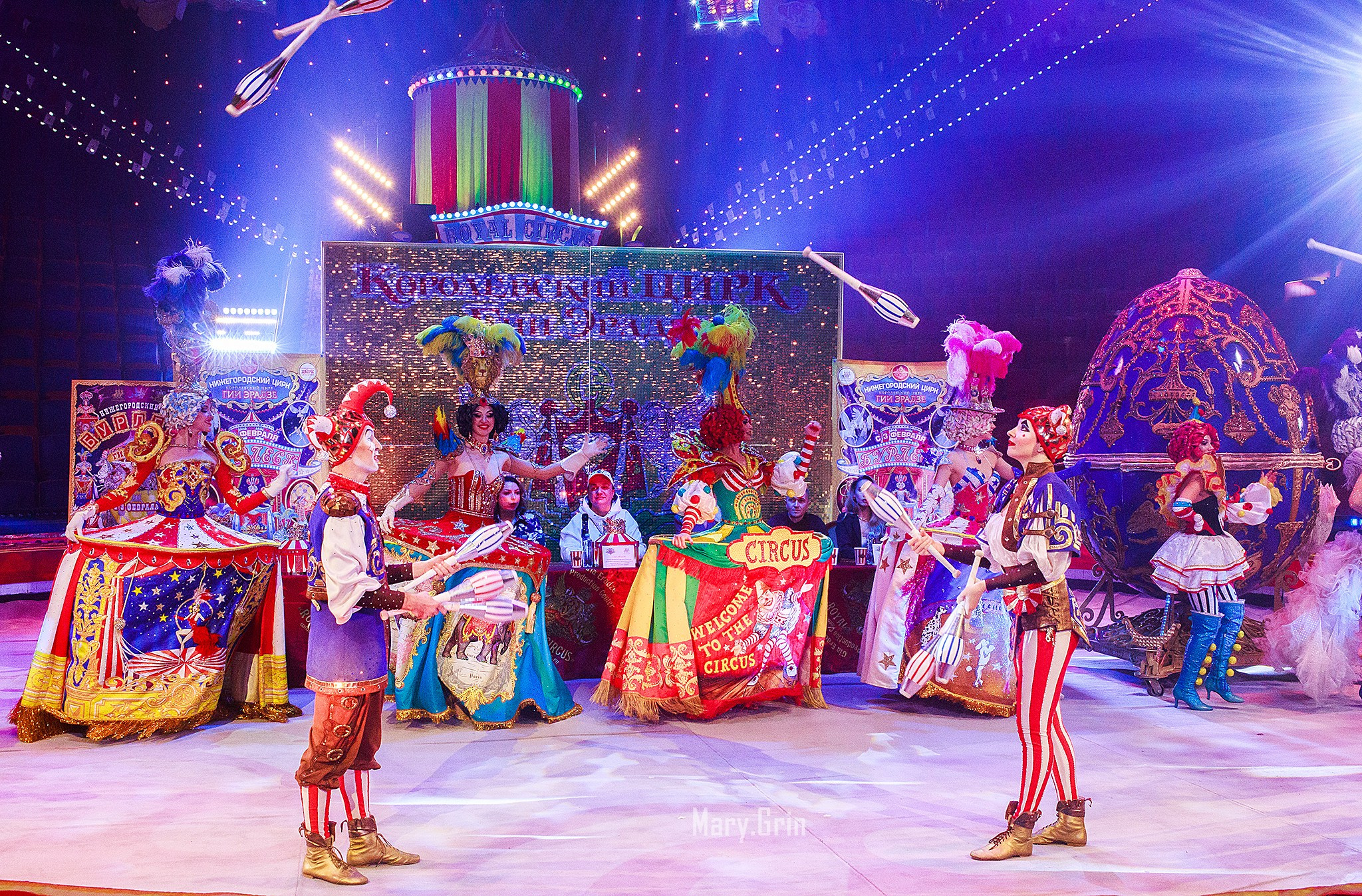 Цирк Гии Эрадзе. Детский и семейный фотограф, фотограф мероприятий Нижний Новгород