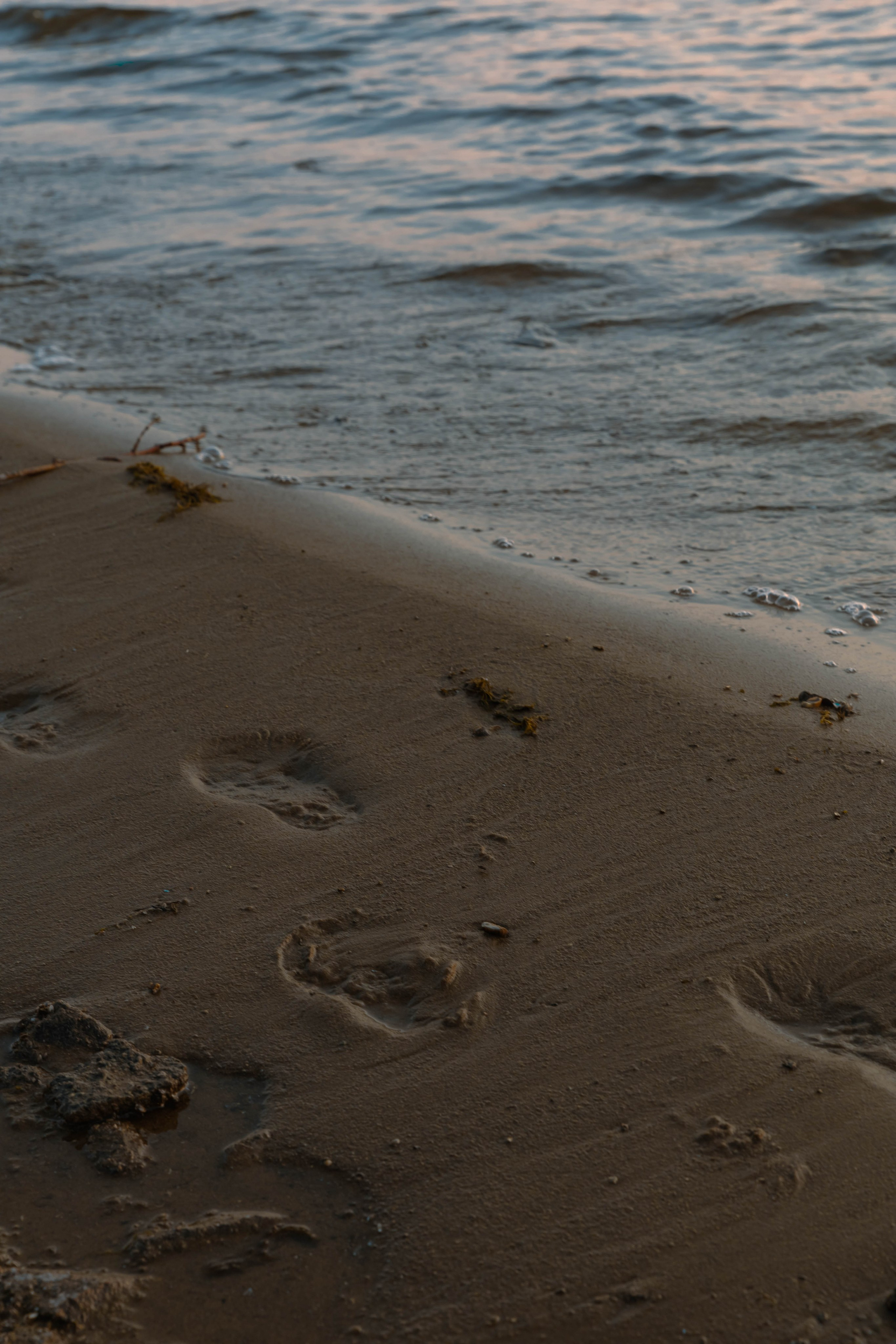 Индивидуальная. Свадебный и семейный фотограф в Челябинске